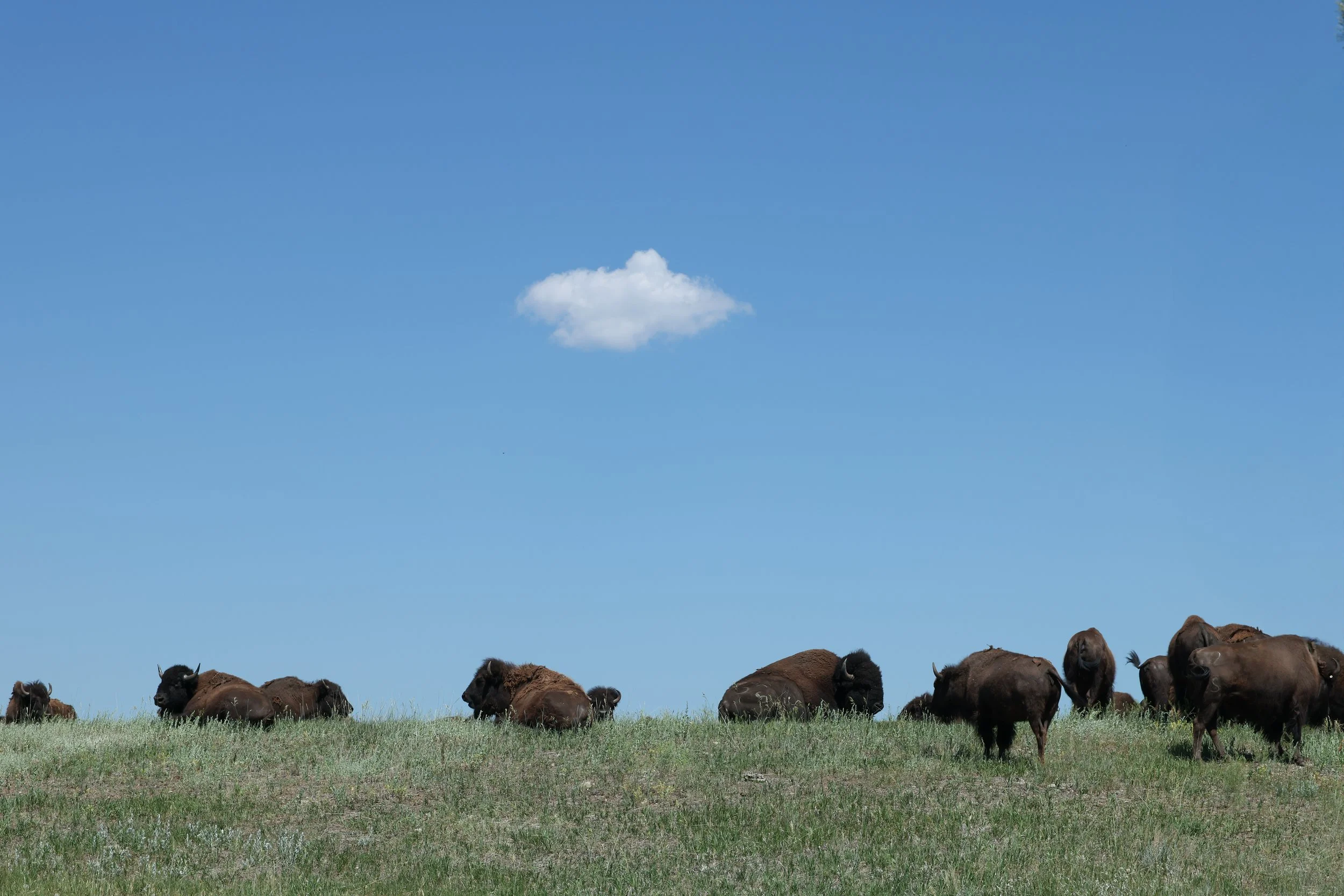 2026 South Dakota 027.jpg