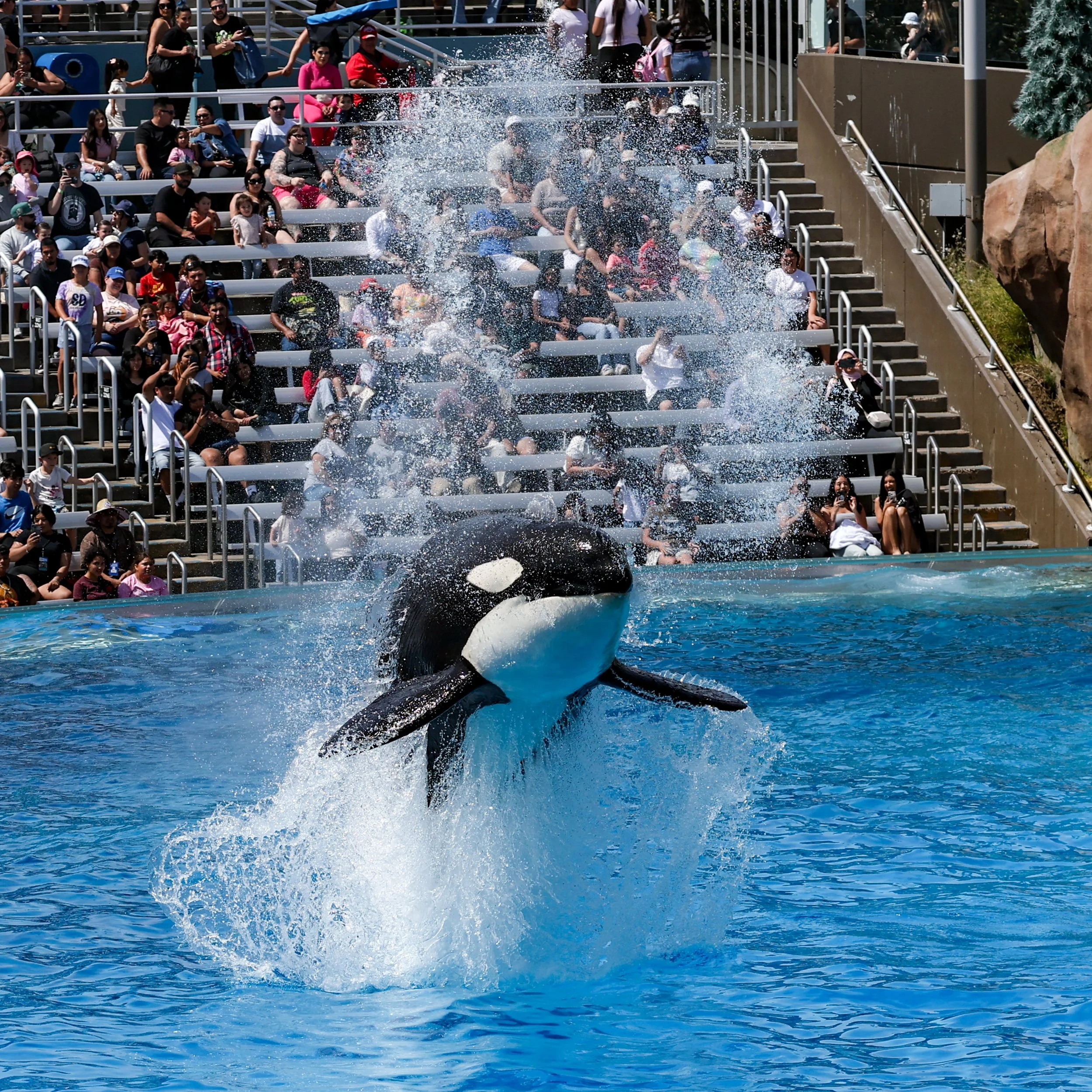 2026 Sandiego Sea World 007.jpg