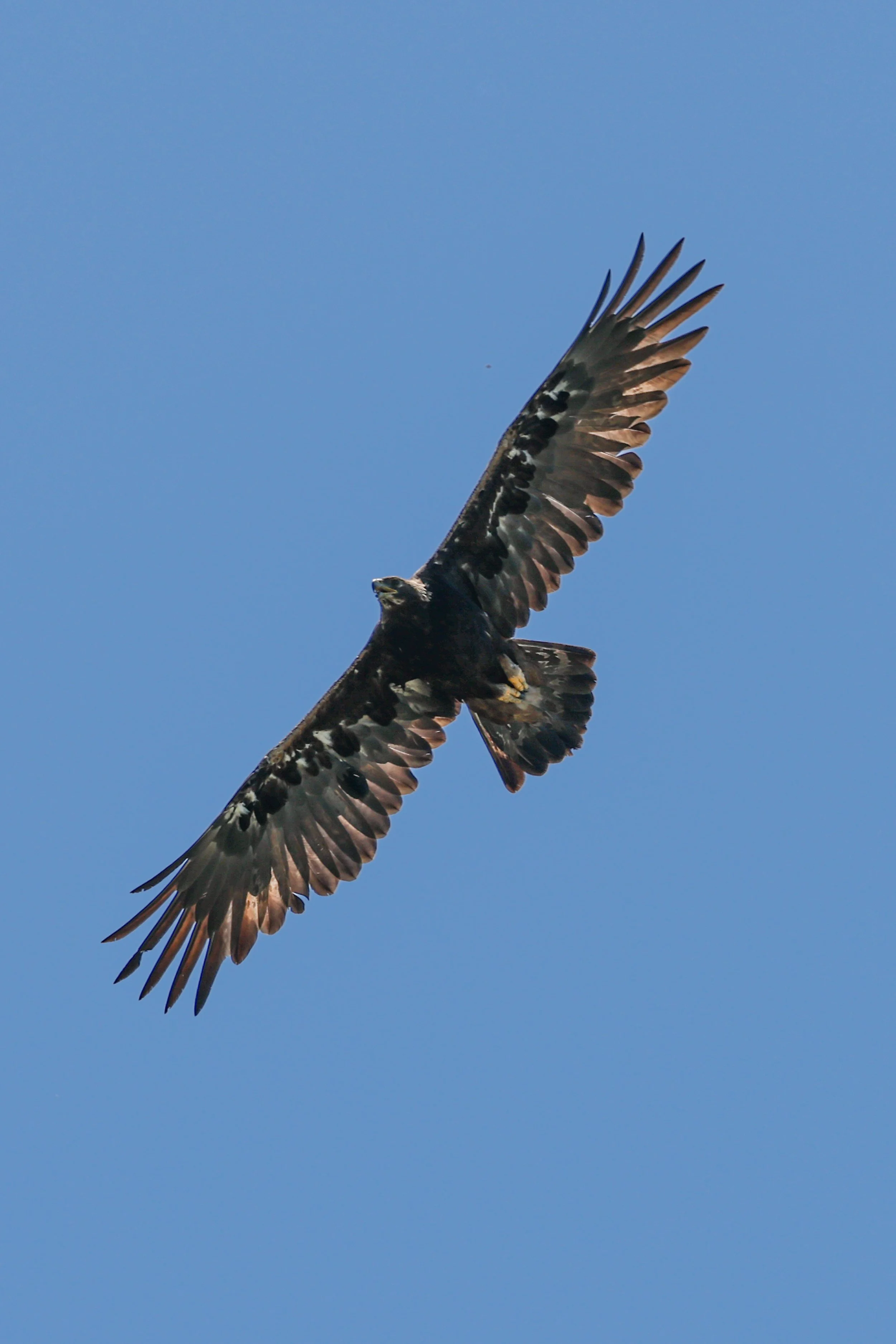 2026 South Dakota 025.jpg