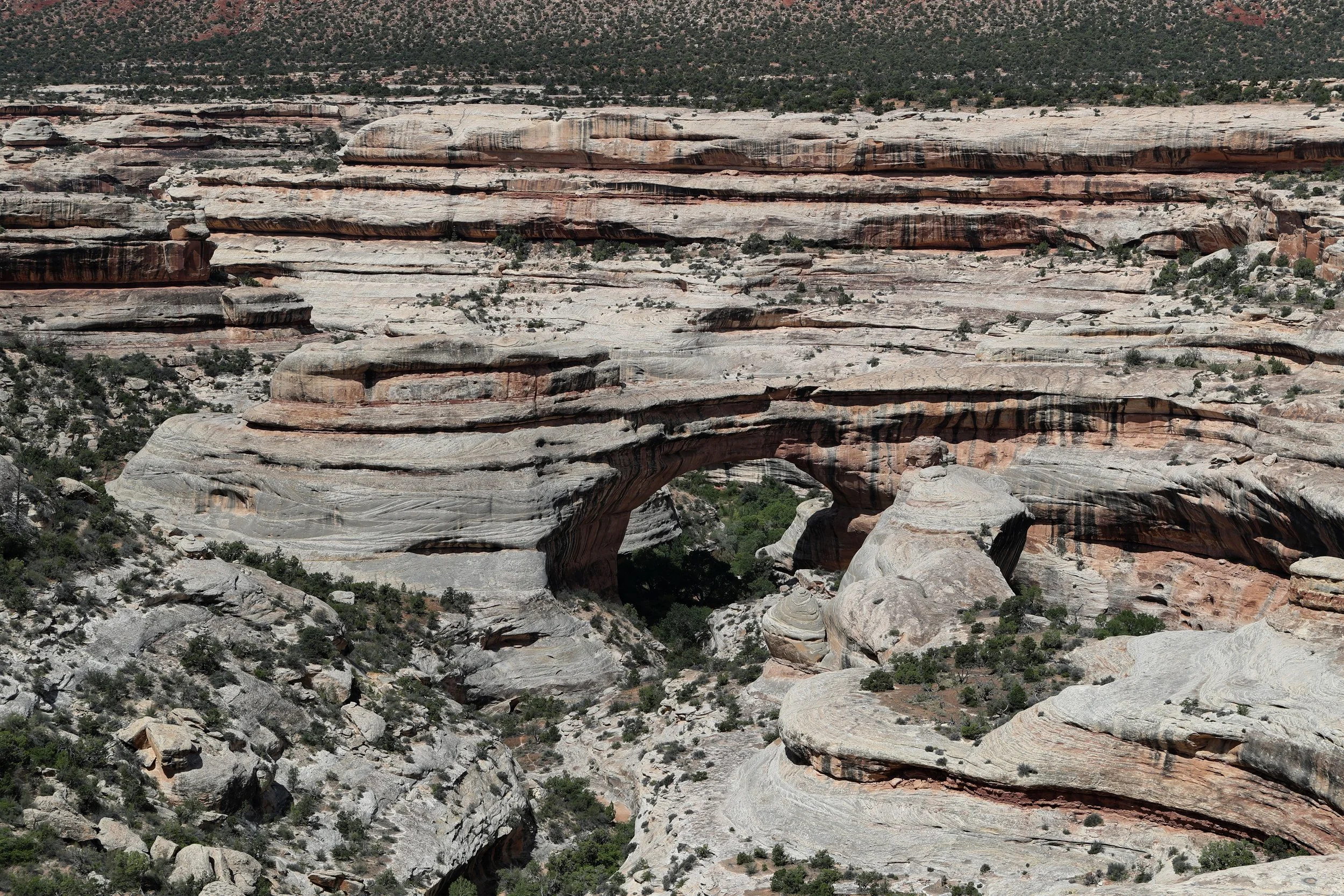 17 Natural Bridges 1.jpg
