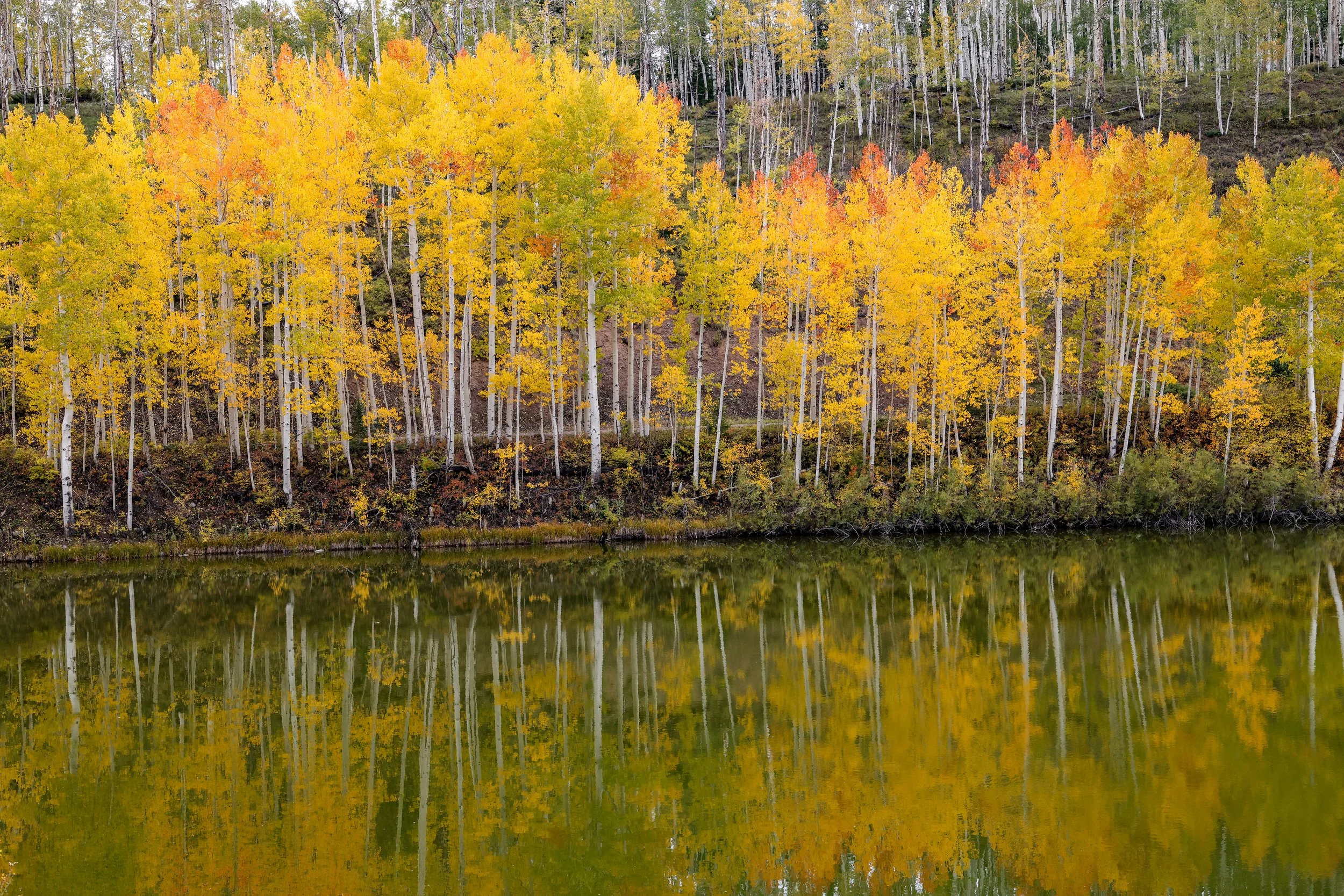 2026 Colorado Telluride 007.jpg