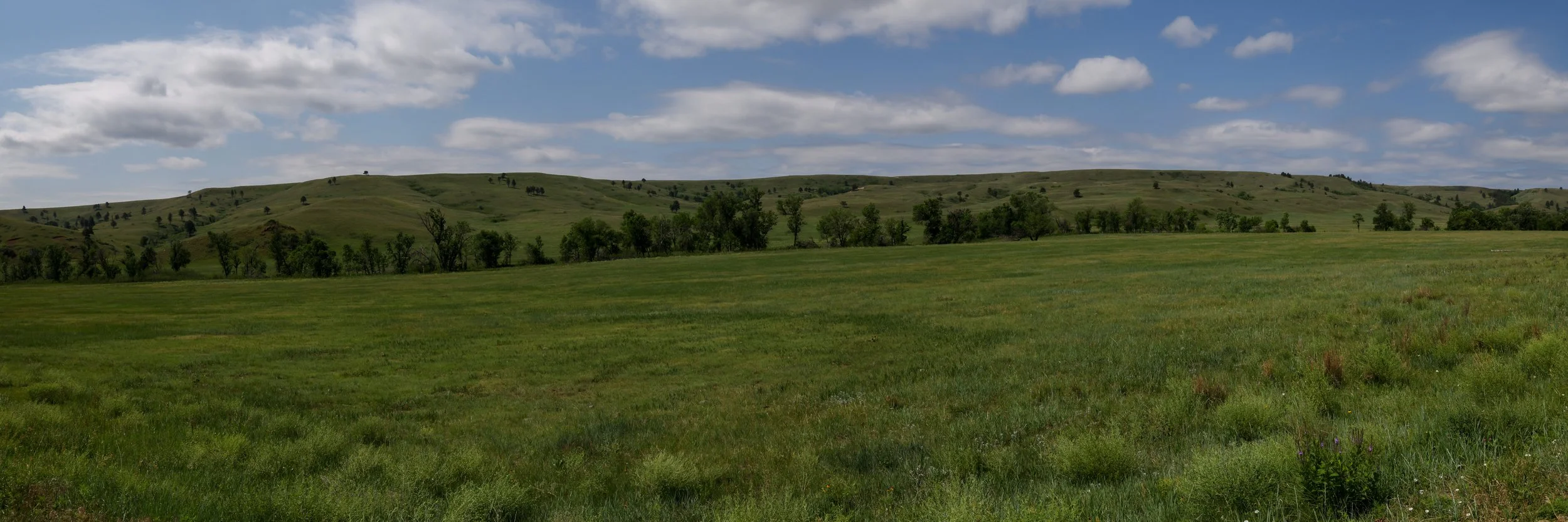 2026 South Dakota 008.jpg