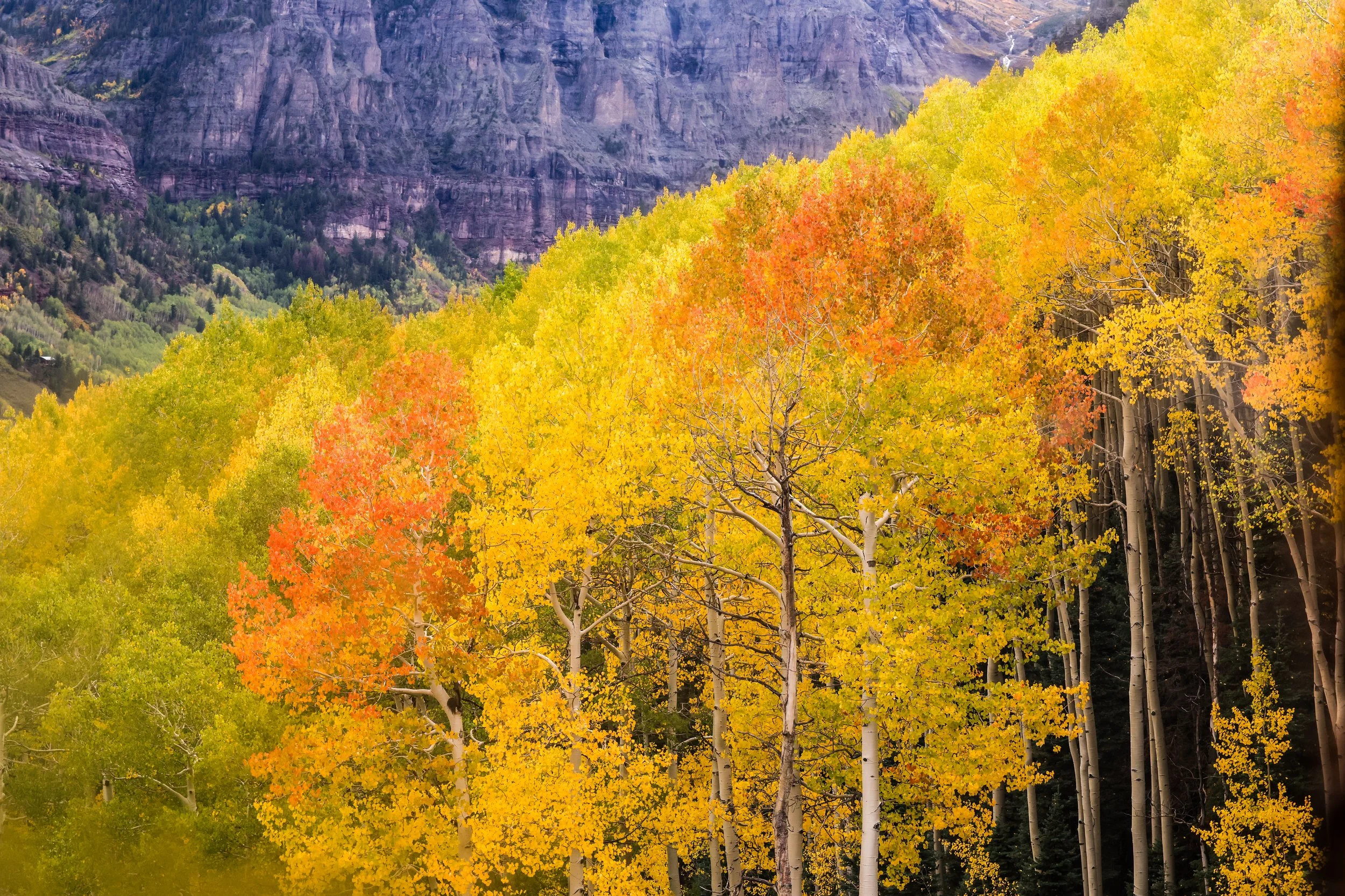 2026 Colorado Telluride 004.jpg