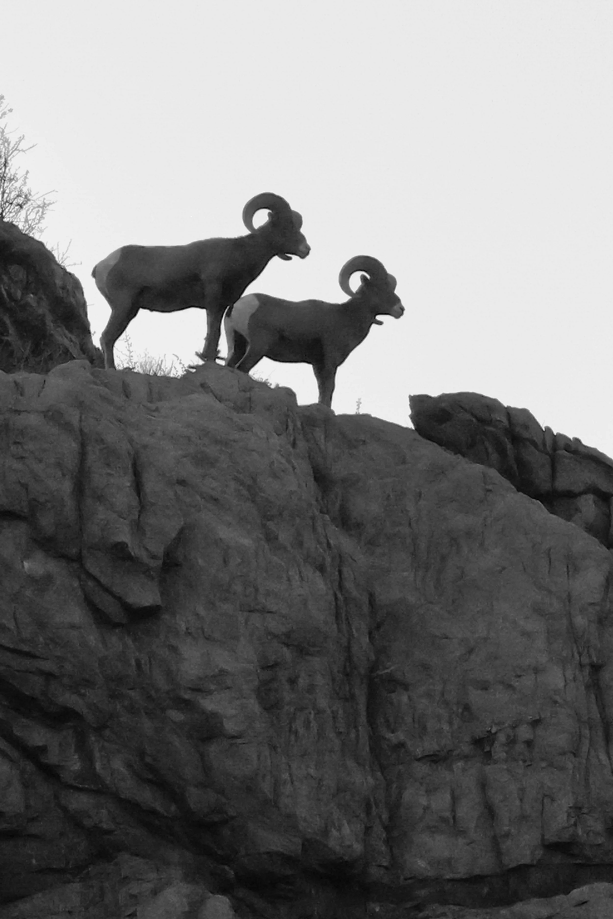 2026 Colorado Canon City 004.jpg