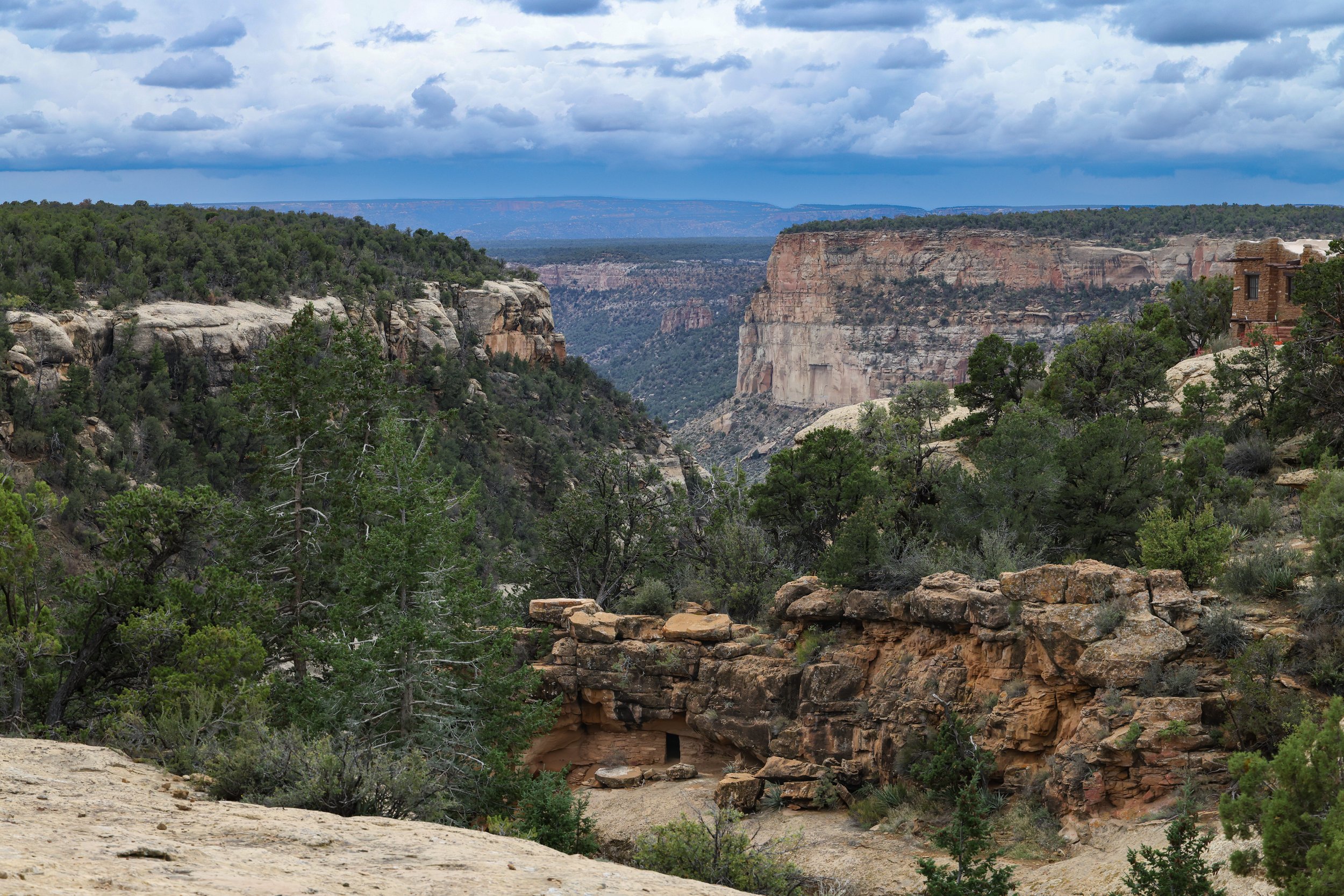 2026 Colorado Mesa Verda 005.jpg