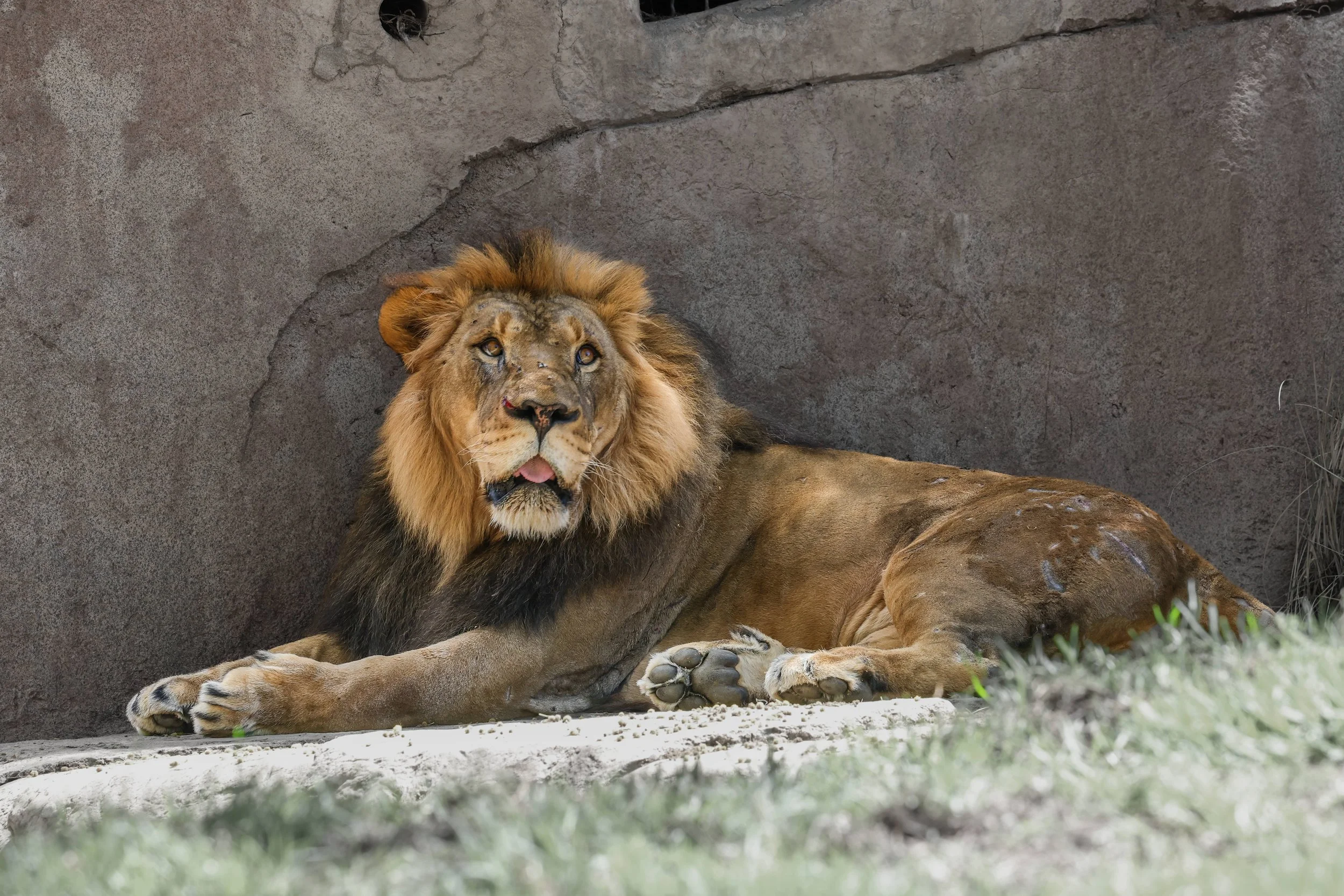 2026 San Diego Safari Park 012.jpg