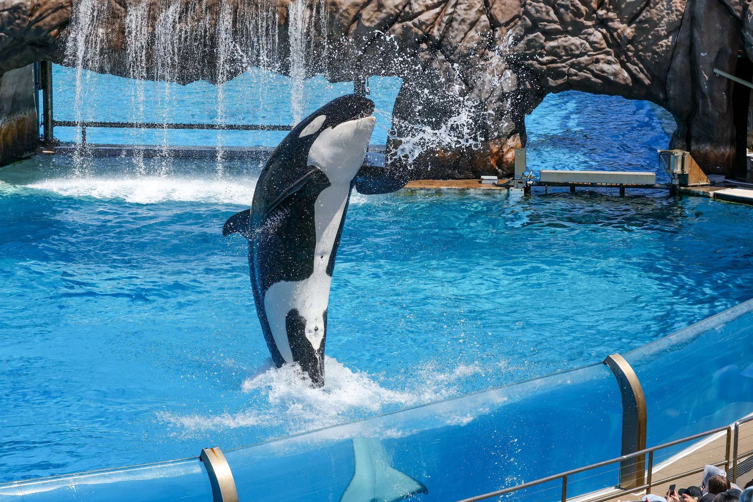 2026 Sandiego Sea World 005.jpg