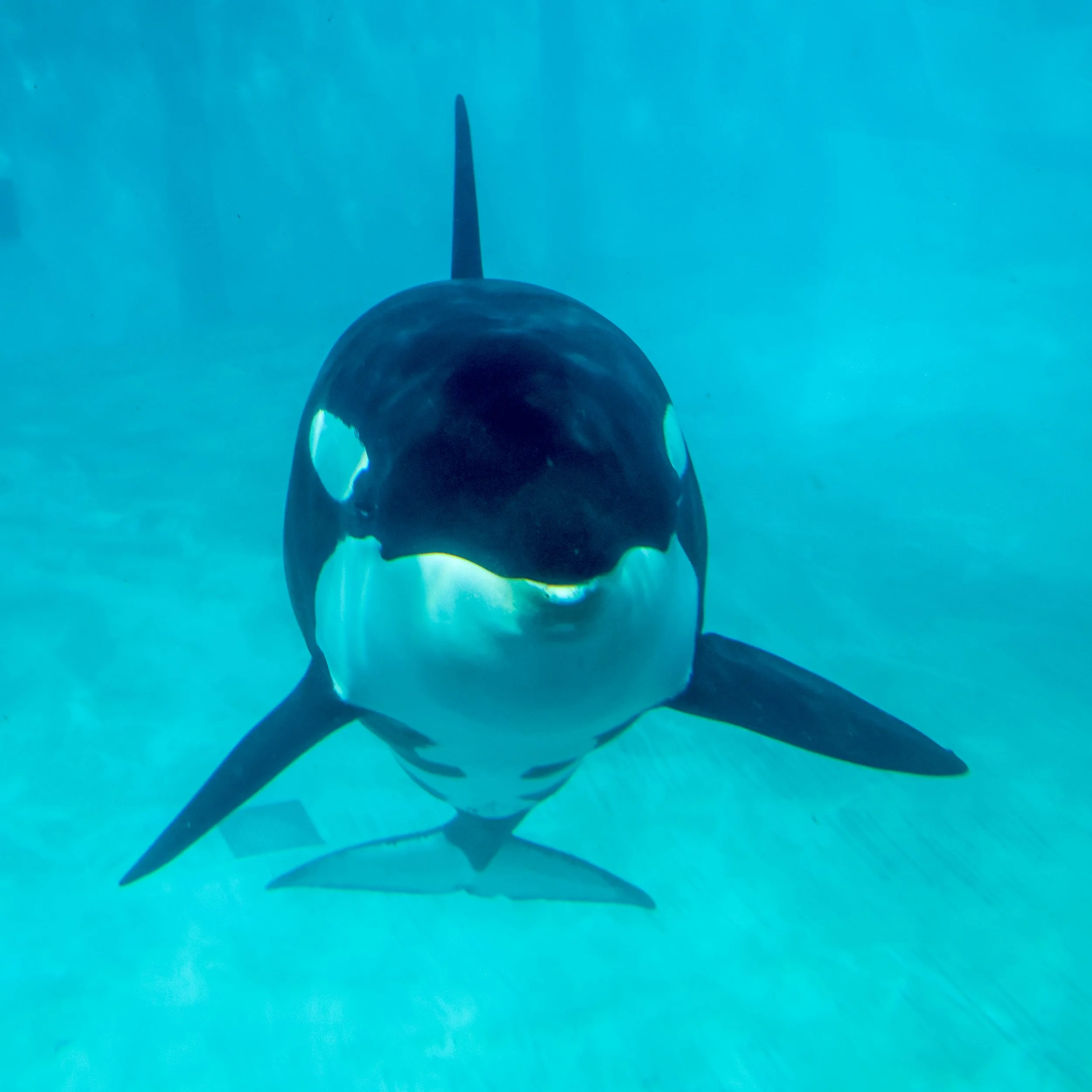 2026 Sandiego Sea World 001.jpg