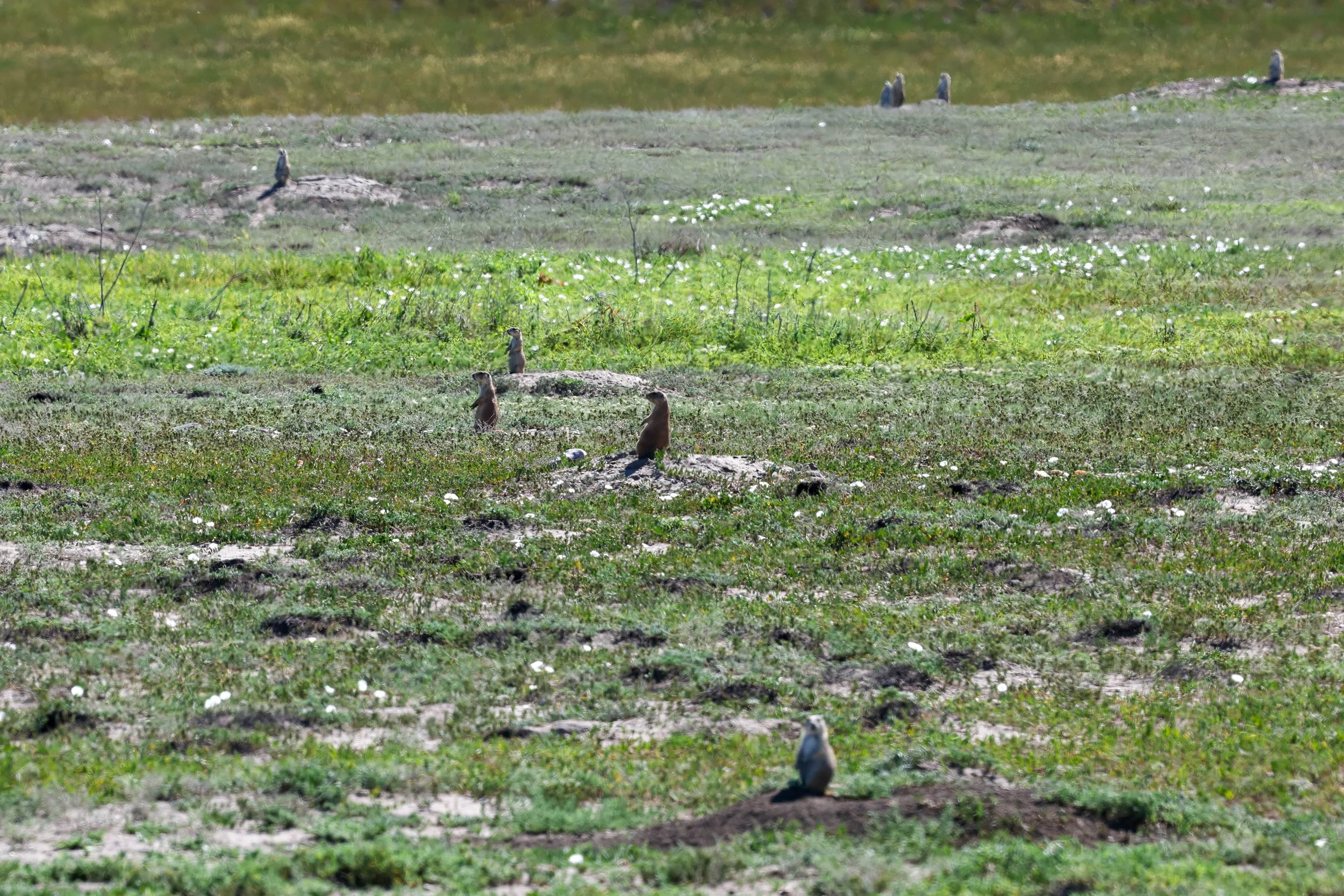 2026 South Dakota BADLANDS 013.jpg