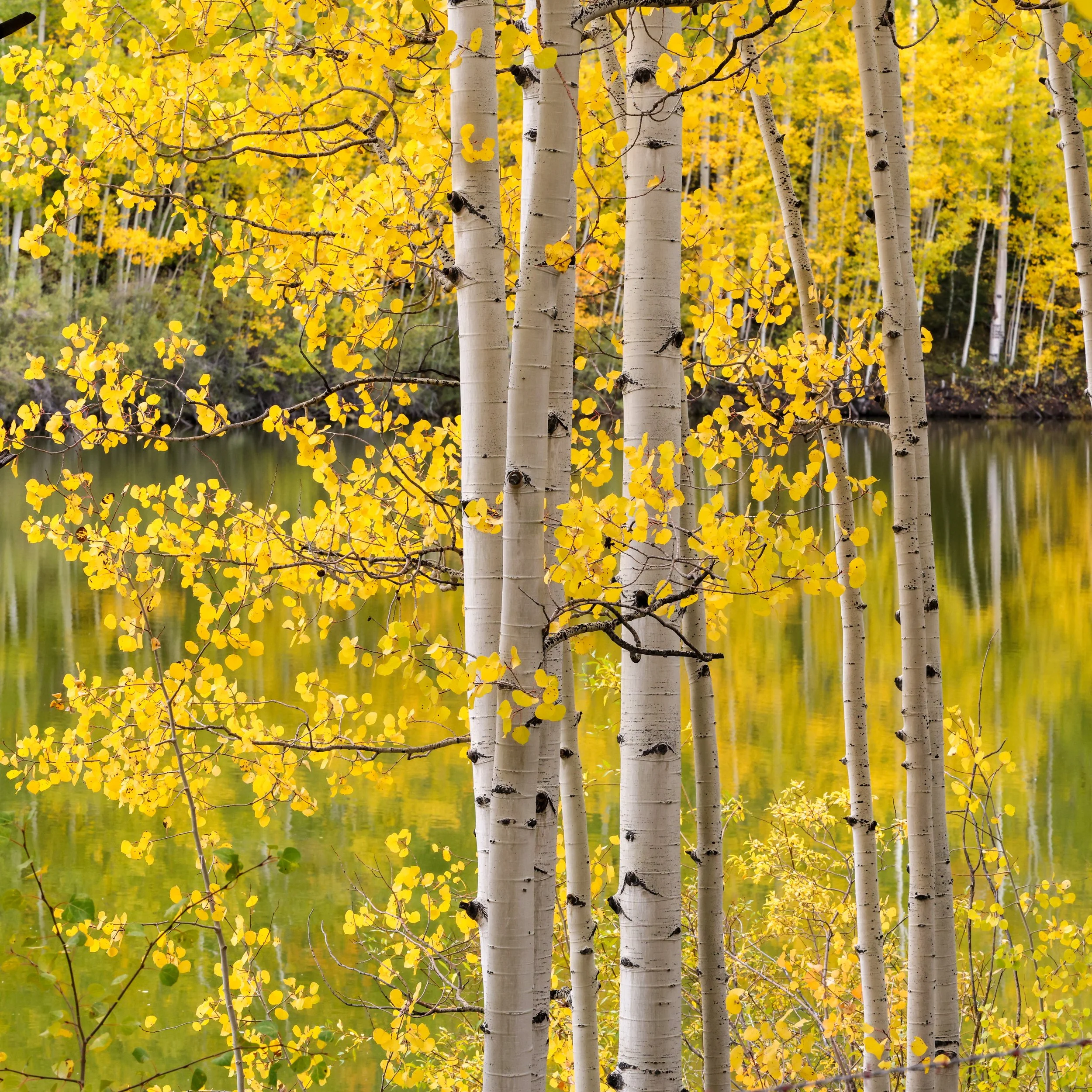 2026 Colorado Telluride 008.jpg