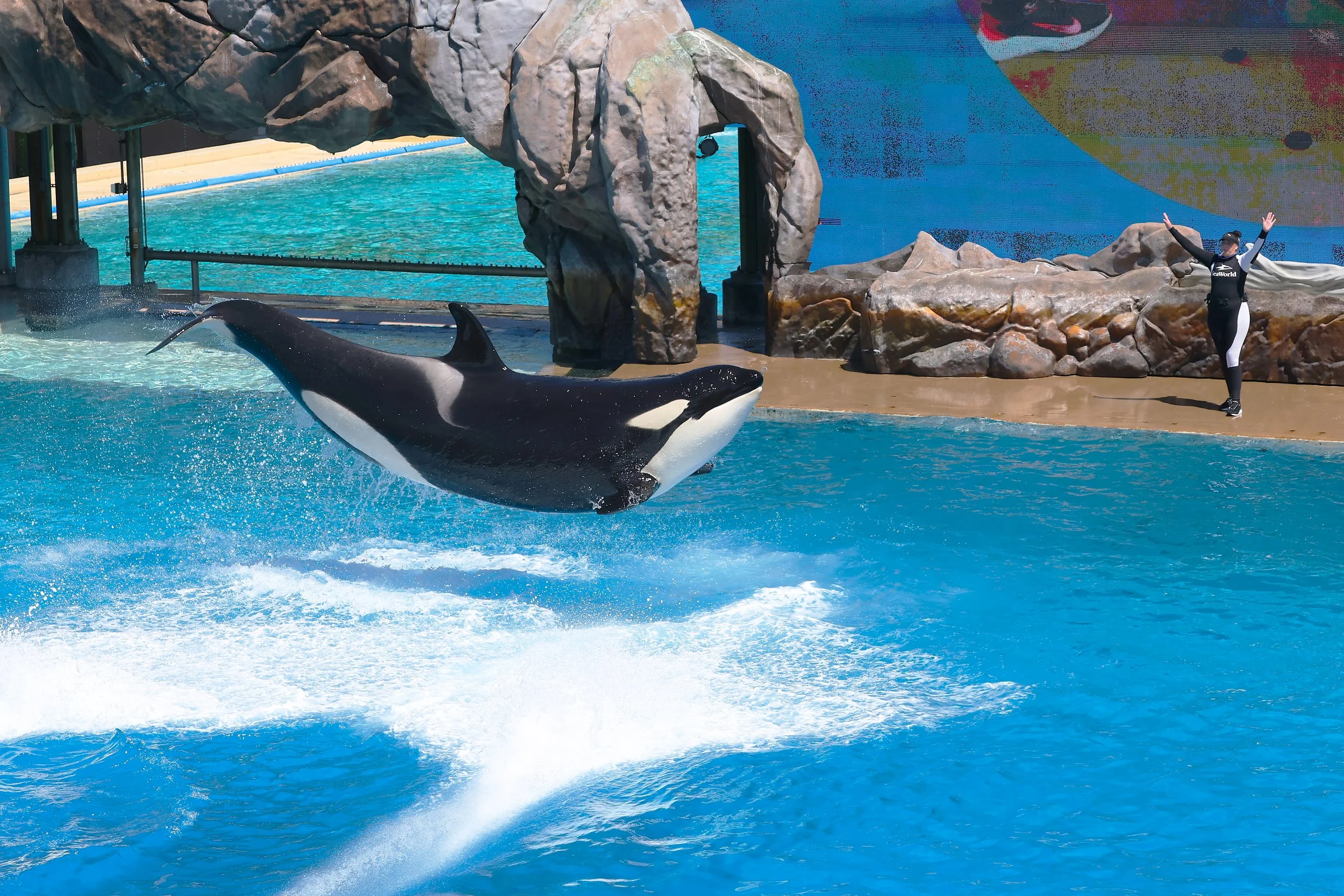 2026 Sandiego Sea World 008.jpg