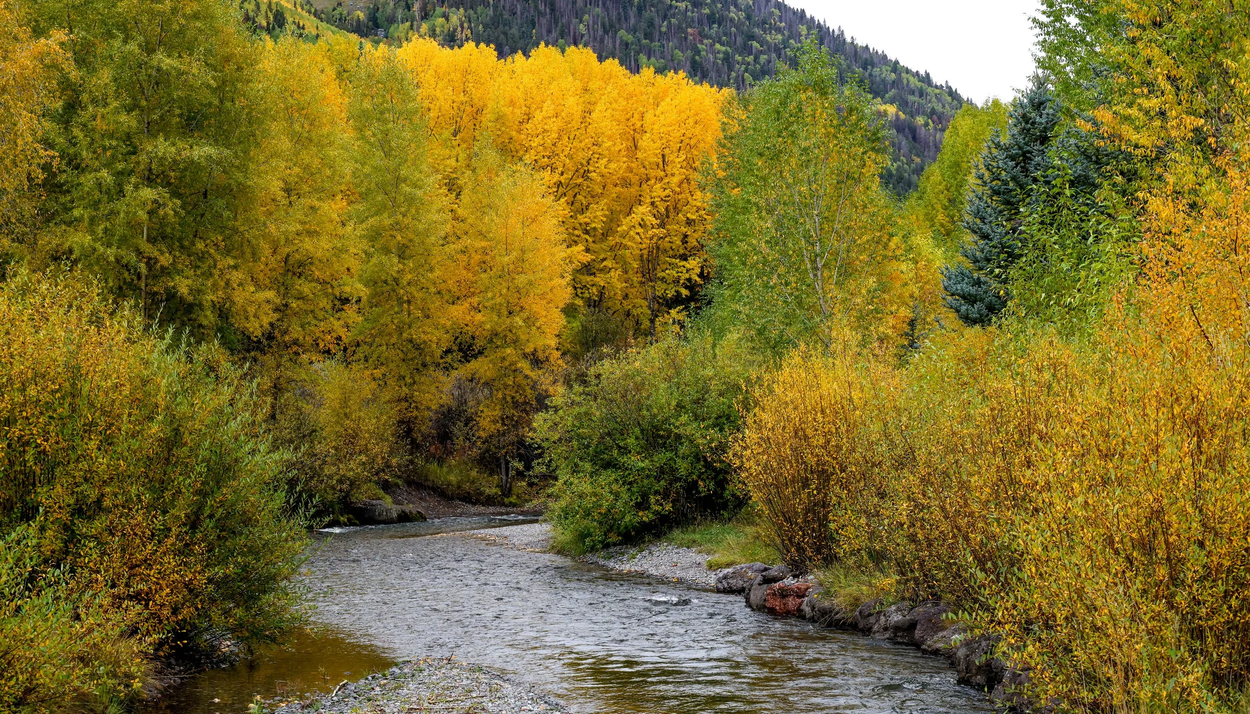 2026 Colorado Telluride 006.jpg