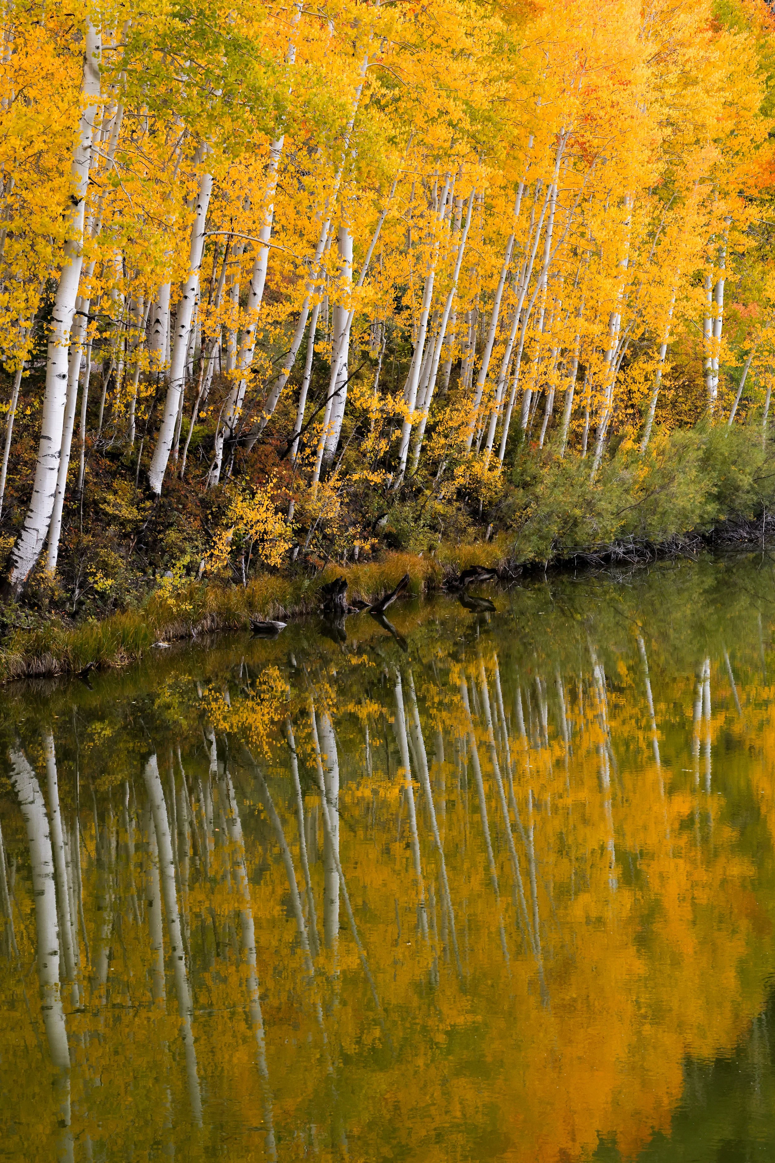 2026 Colorado Telluride 009.jpg