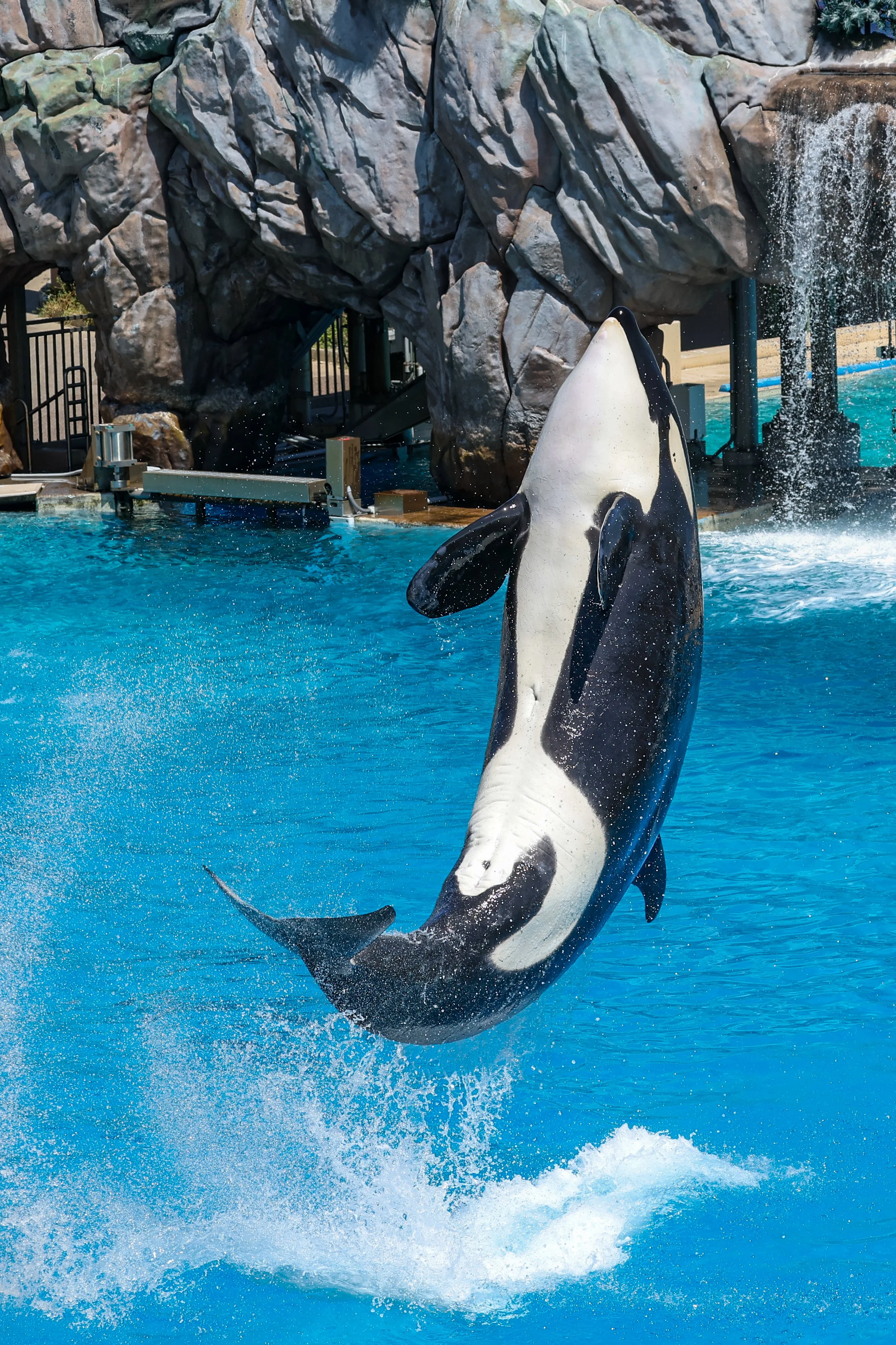 2026 Sandiego Sea World 003.jpg