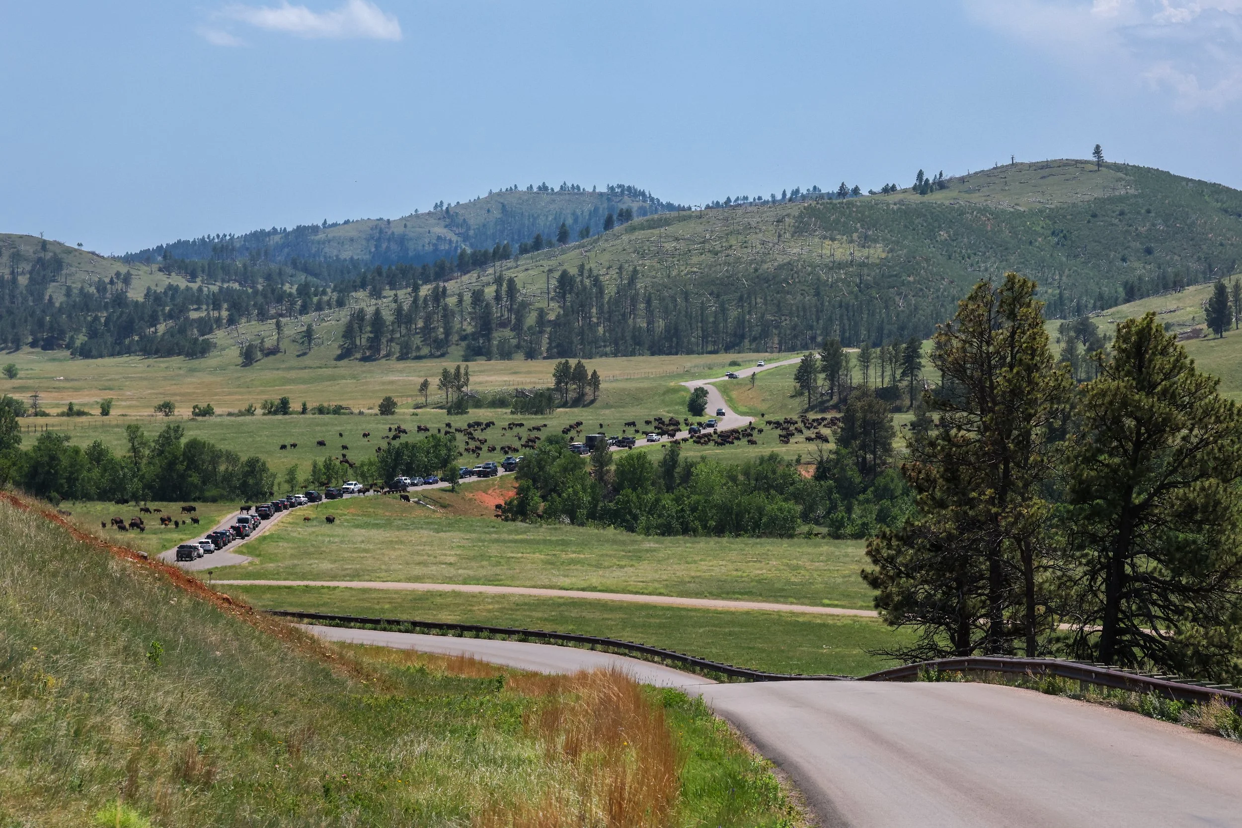 2026 South Dakota 010.jpg