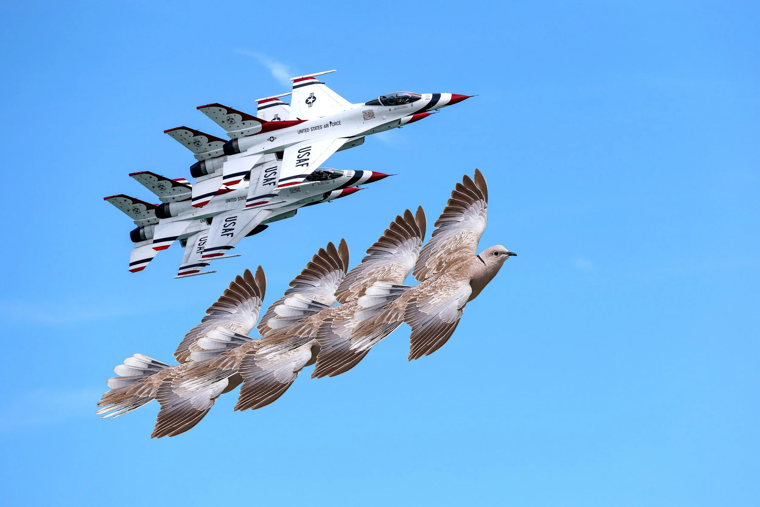 2026 Miami Air Show Saturday 017.jpg