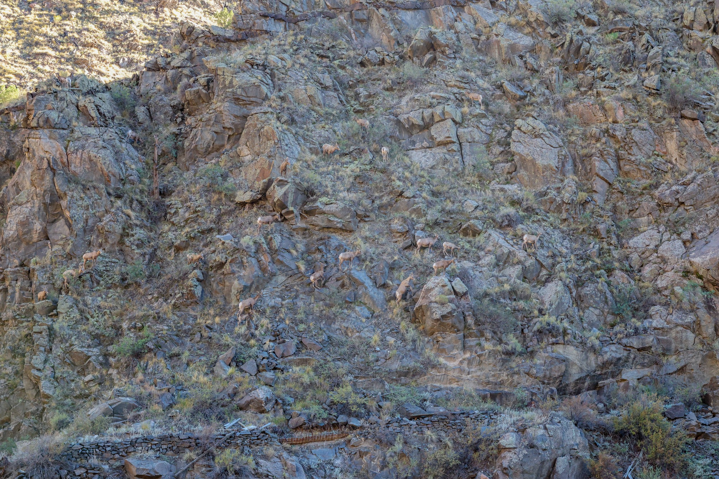 2026 Colorado Canon City 005.jpg