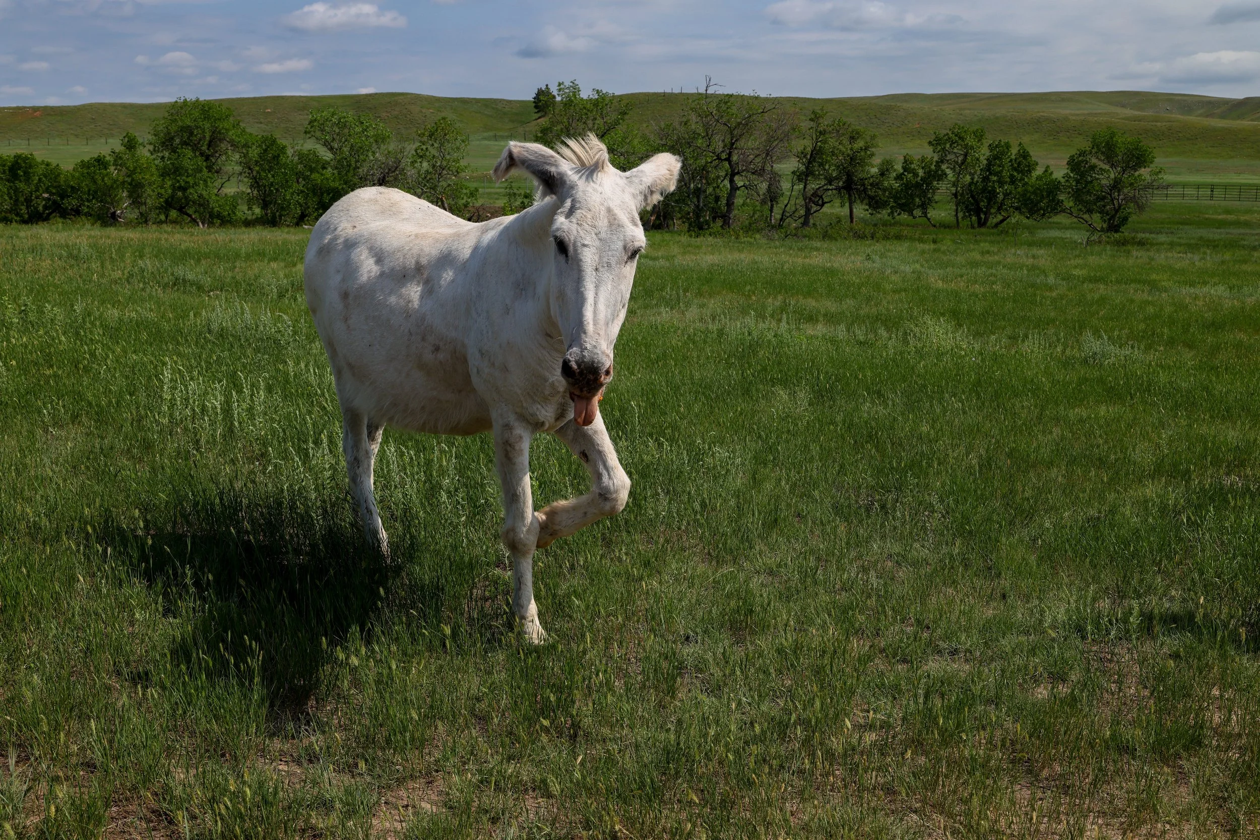 2026 South Dakota 001.jpg