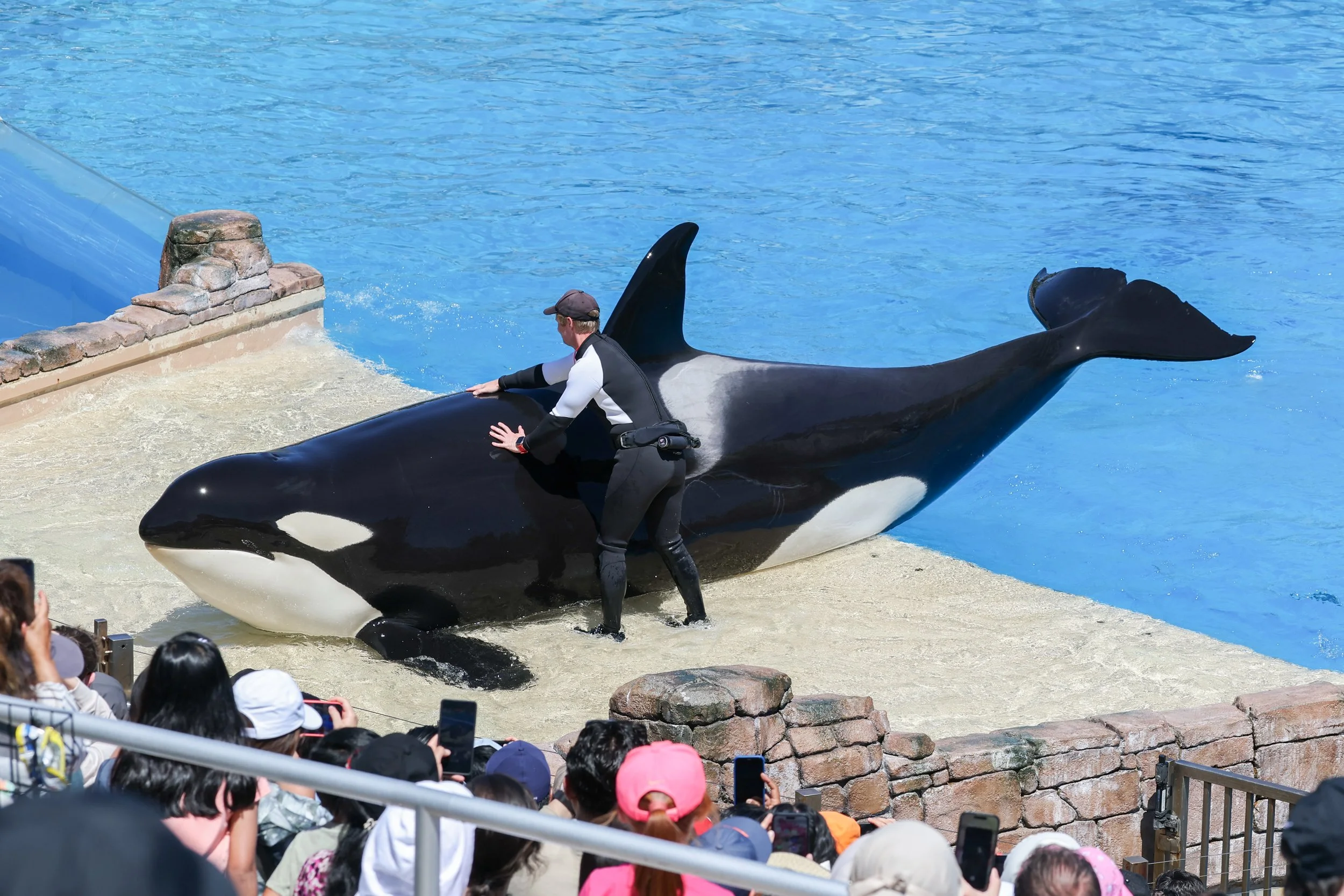 2026 Sandiego Sea World 010.jpg