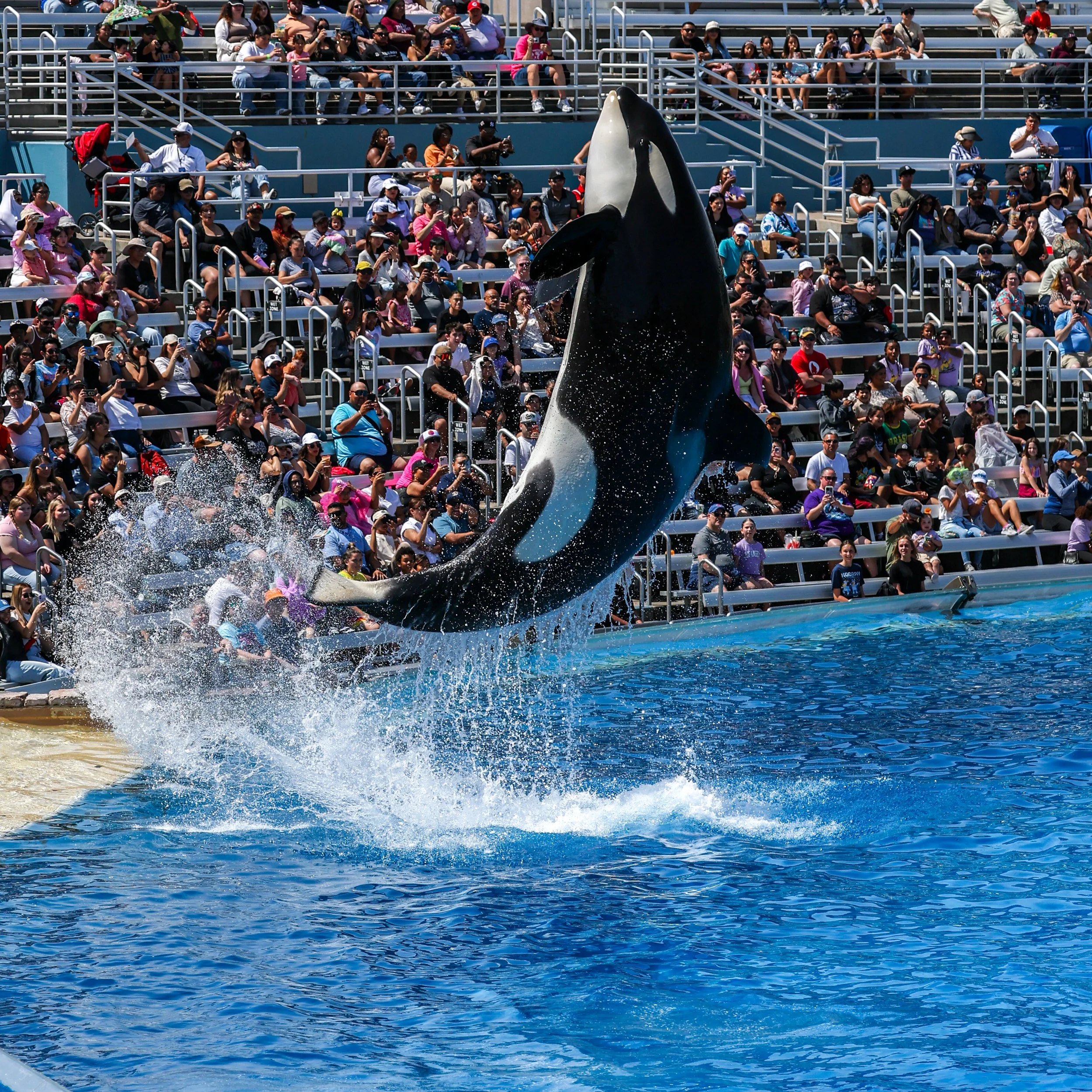 2026 Sandiego Sea World 006.jpg