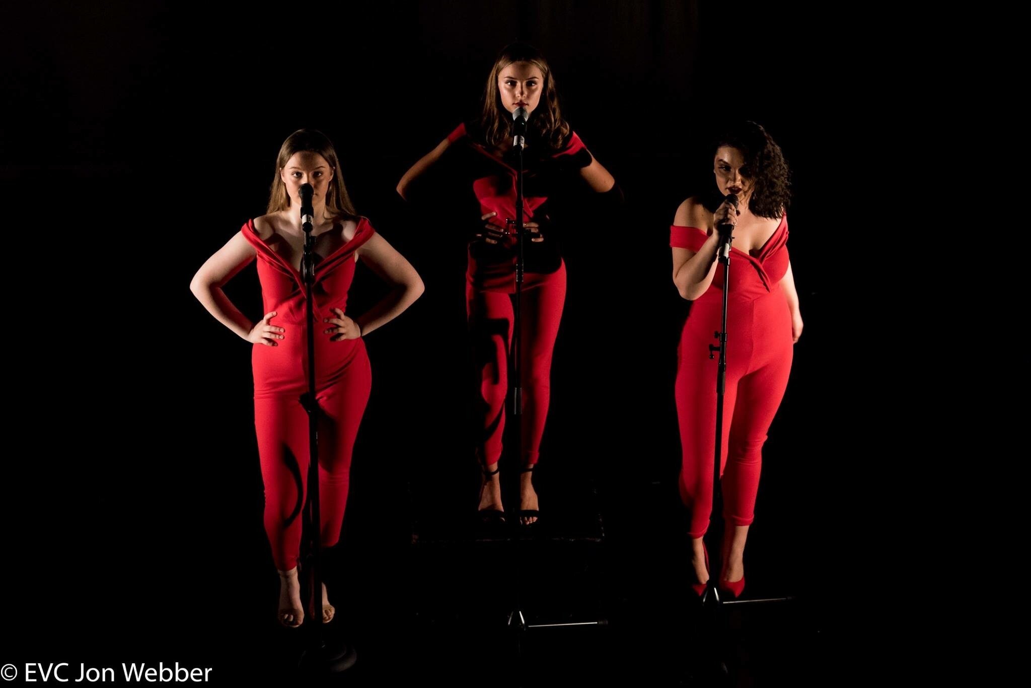 Vocal harmony groups.JPG