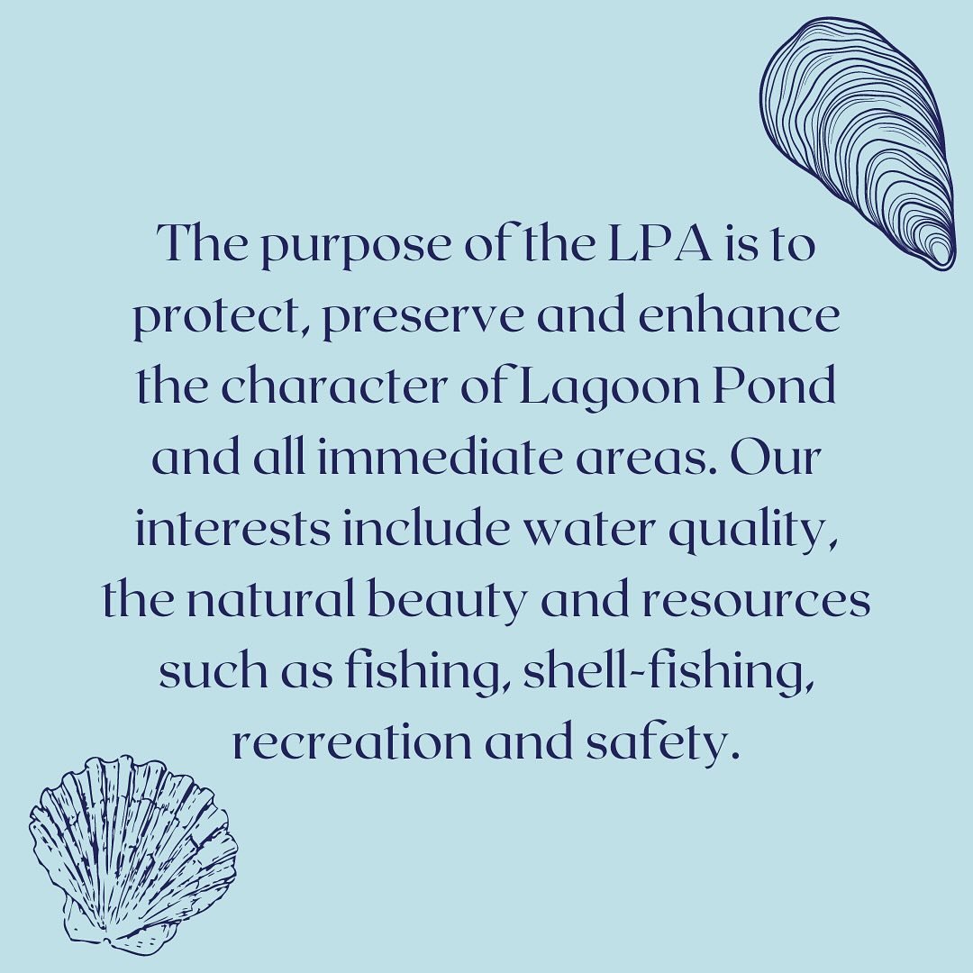 Welcome to the official Instagram page of the Lagoon Pond Association! 🌊 We&rsquo;re thrilled to embark on this journey with you, dedicated to preserving the natural wonder of Lagoon Pond and its surrounding areas on Martha&rsquo;s Vineyard.

As ste
