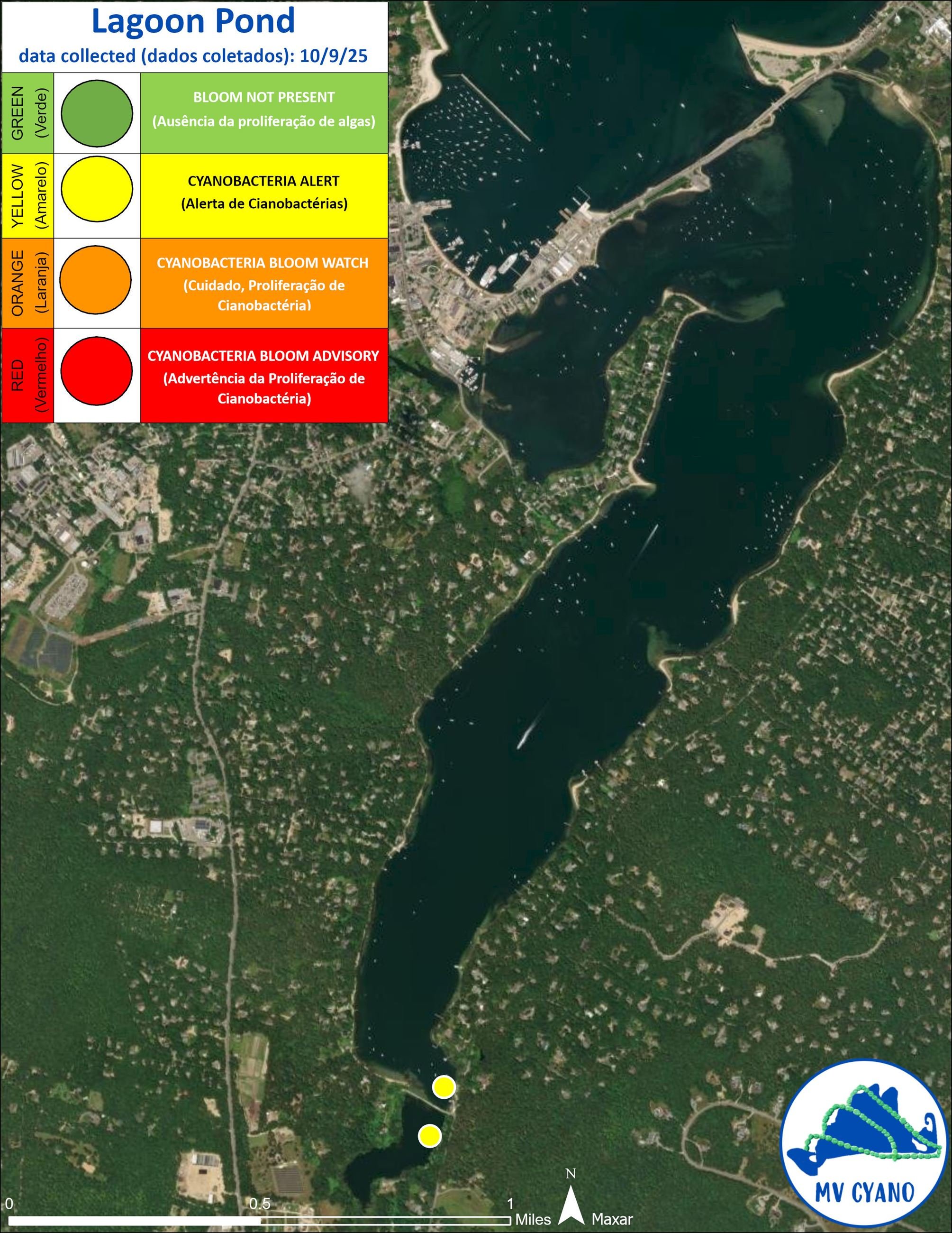 Advisory Update: October 09: Cyanobacteria Bloom in Upper Lagoon Pond