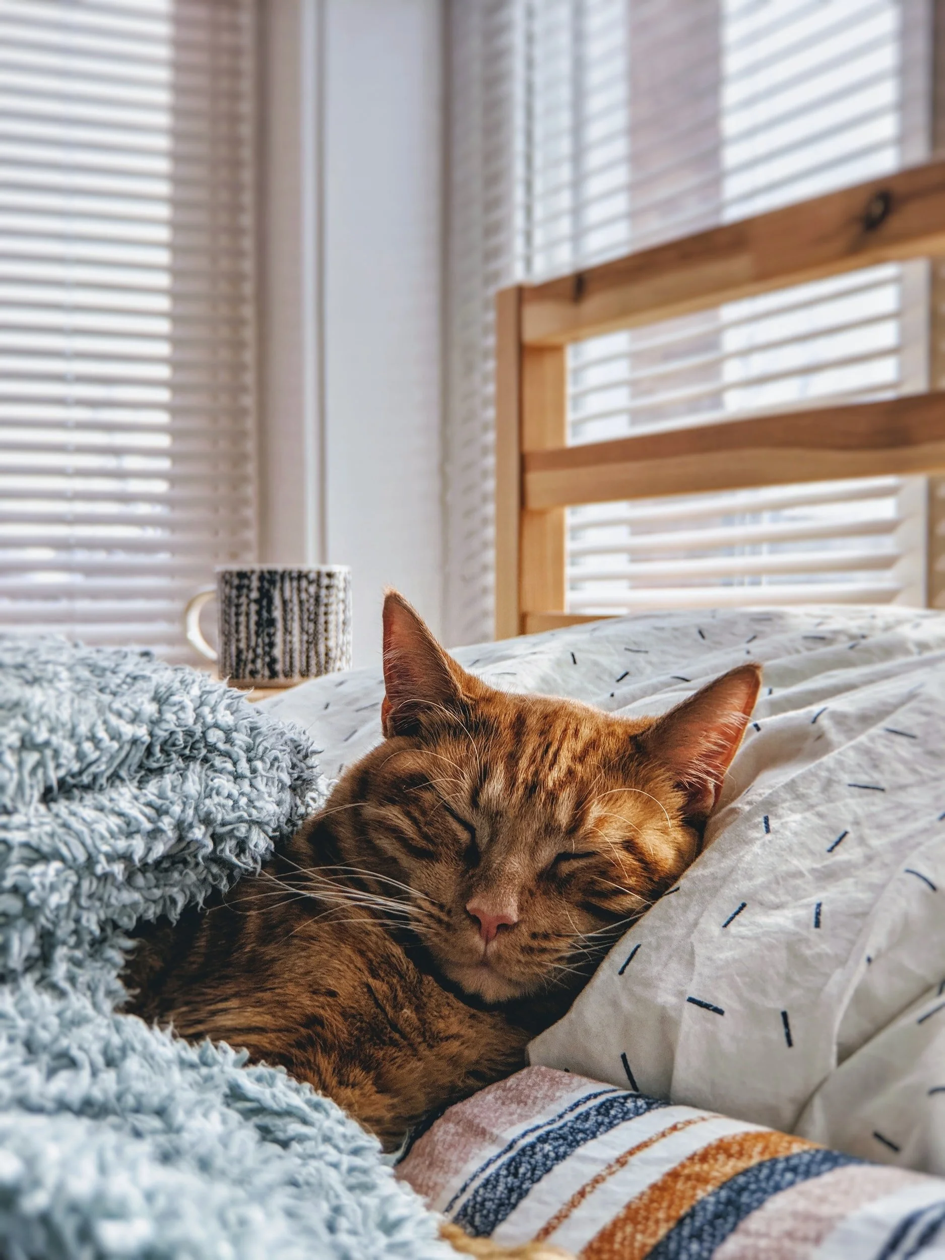 3 Questions to Ask Yourself Before Getting Out of Bed for a Better Day