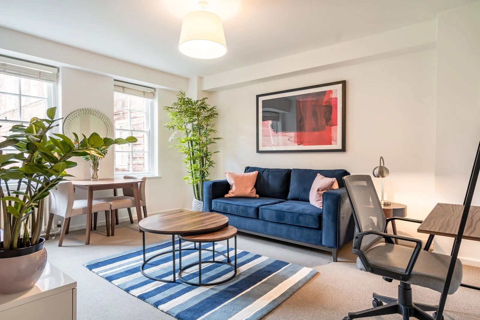 The Pimlico Collection