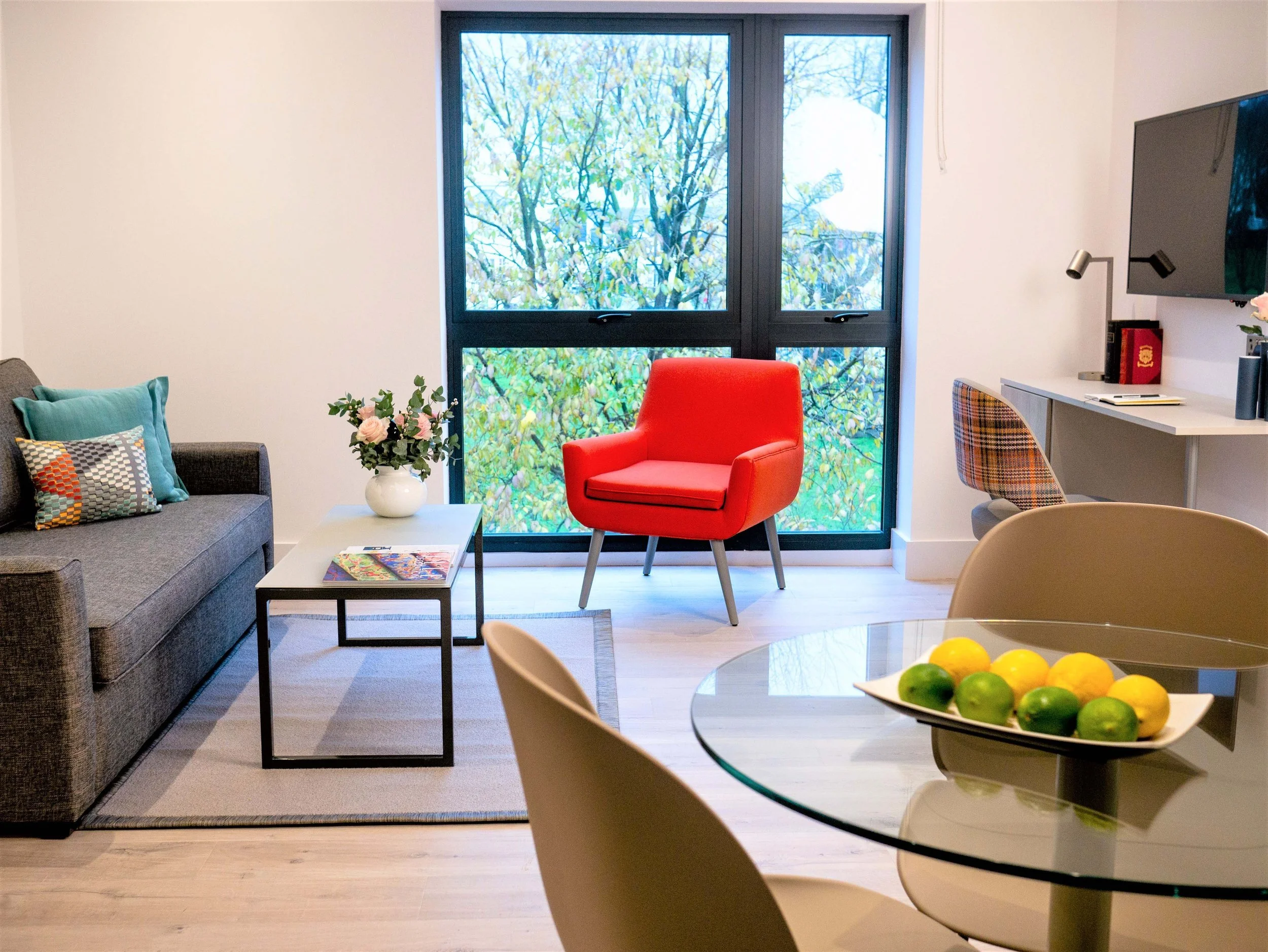 Luxury Brighton Beach Apartments