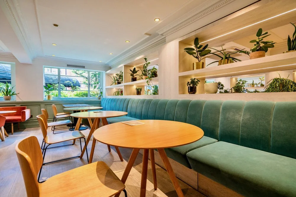 Marylebone Flats for Rent