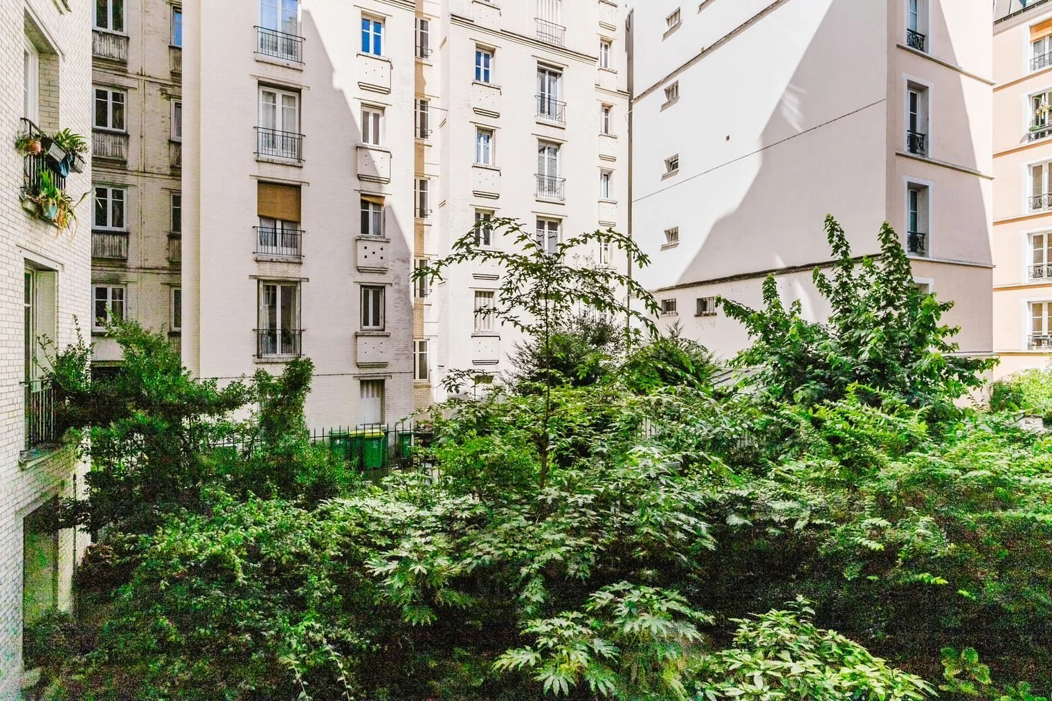 maison-flora-1bed-12.jpeg