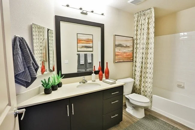 sonoran-residences-1 bed-4.jpg