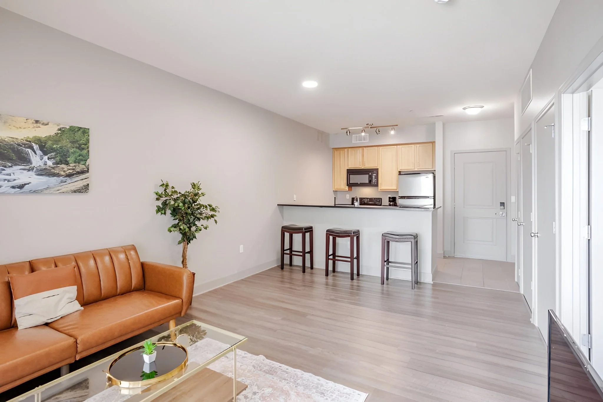 queen-city-residences-1 bed -4.jpg