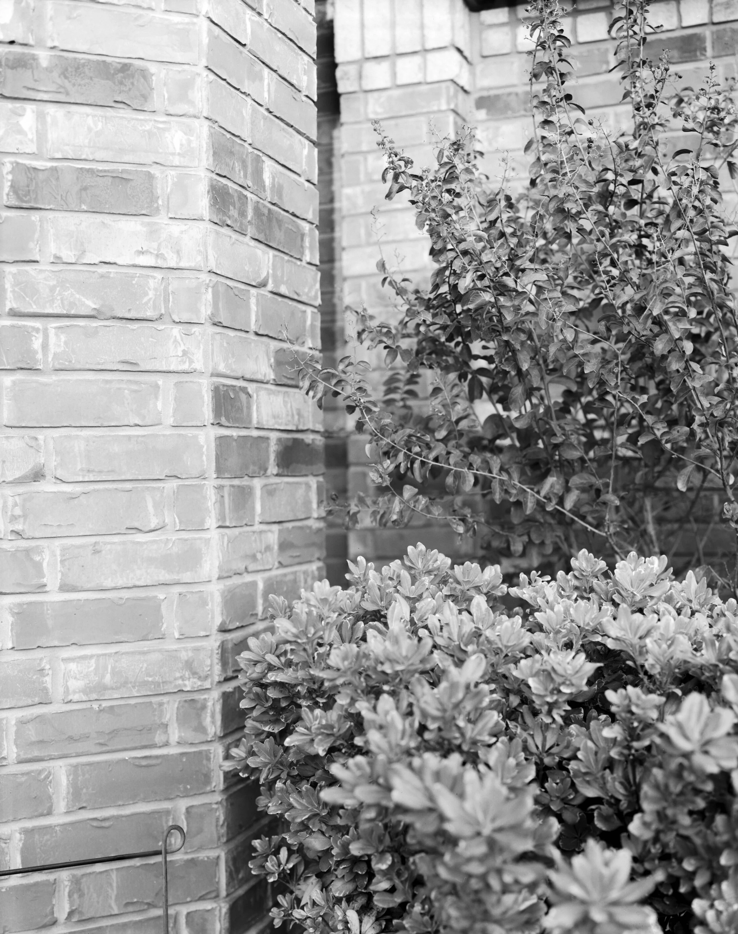 photo 13 22x17flattened.jpg
