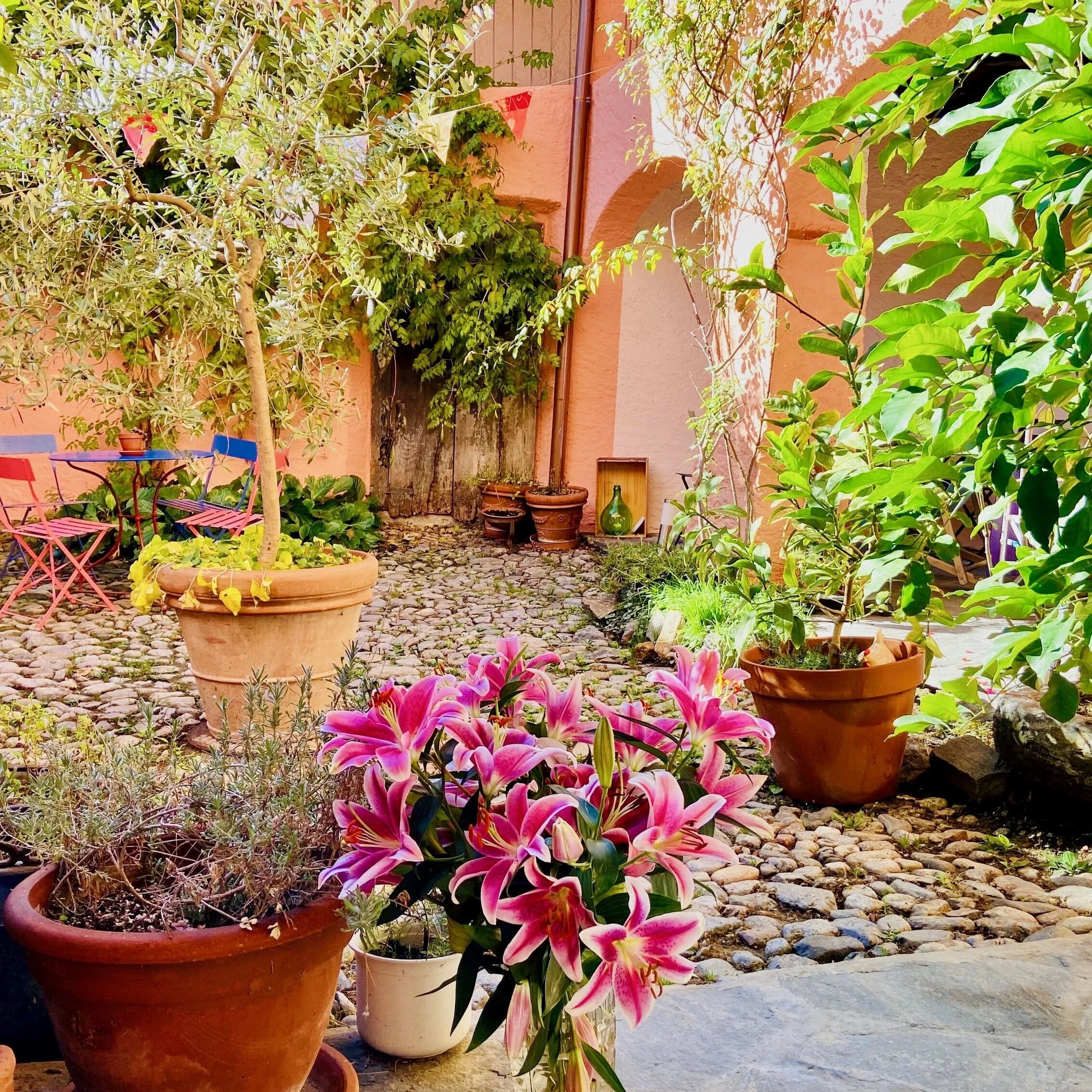 Yoga-Wochenende im Südtessin, mit Michela Montalbetti - AUSGEBUCHT