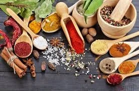 Ayurveda-Reinigungskur auf Lipari/Italien, mit Harish Indraman Gunputh