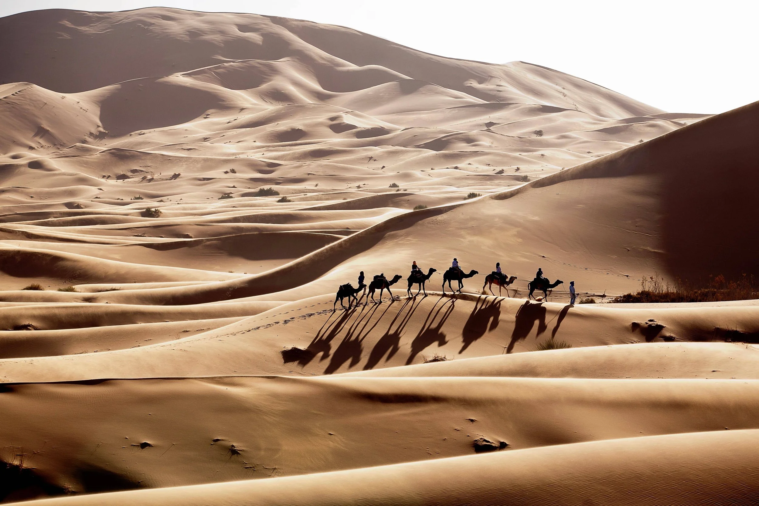 Yoga in der Wüste von Marokko, mit Michael Thurnherr