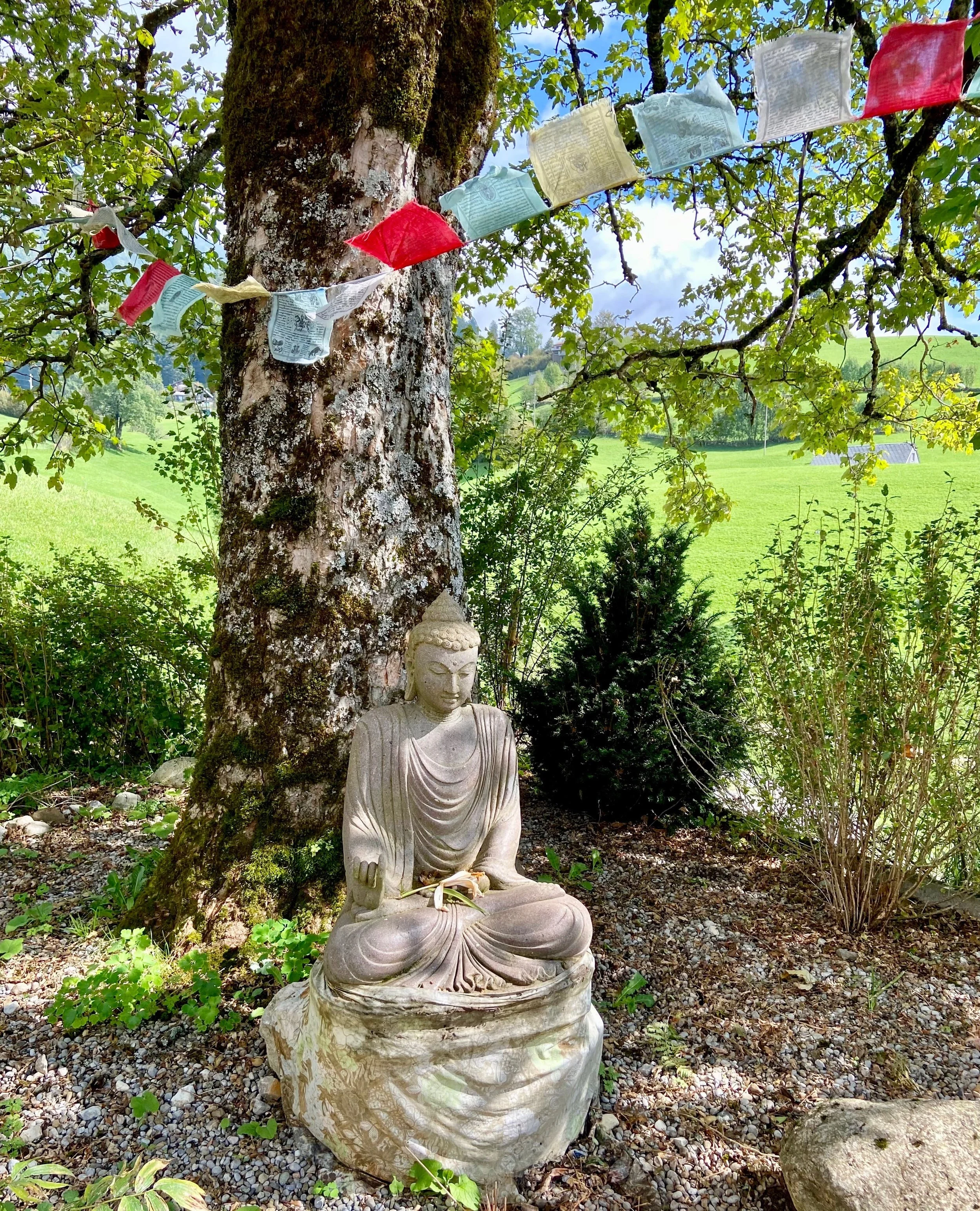 Yin Yang Yoga-Retreat im Toggenburg, mit Stefania Maria Bernet