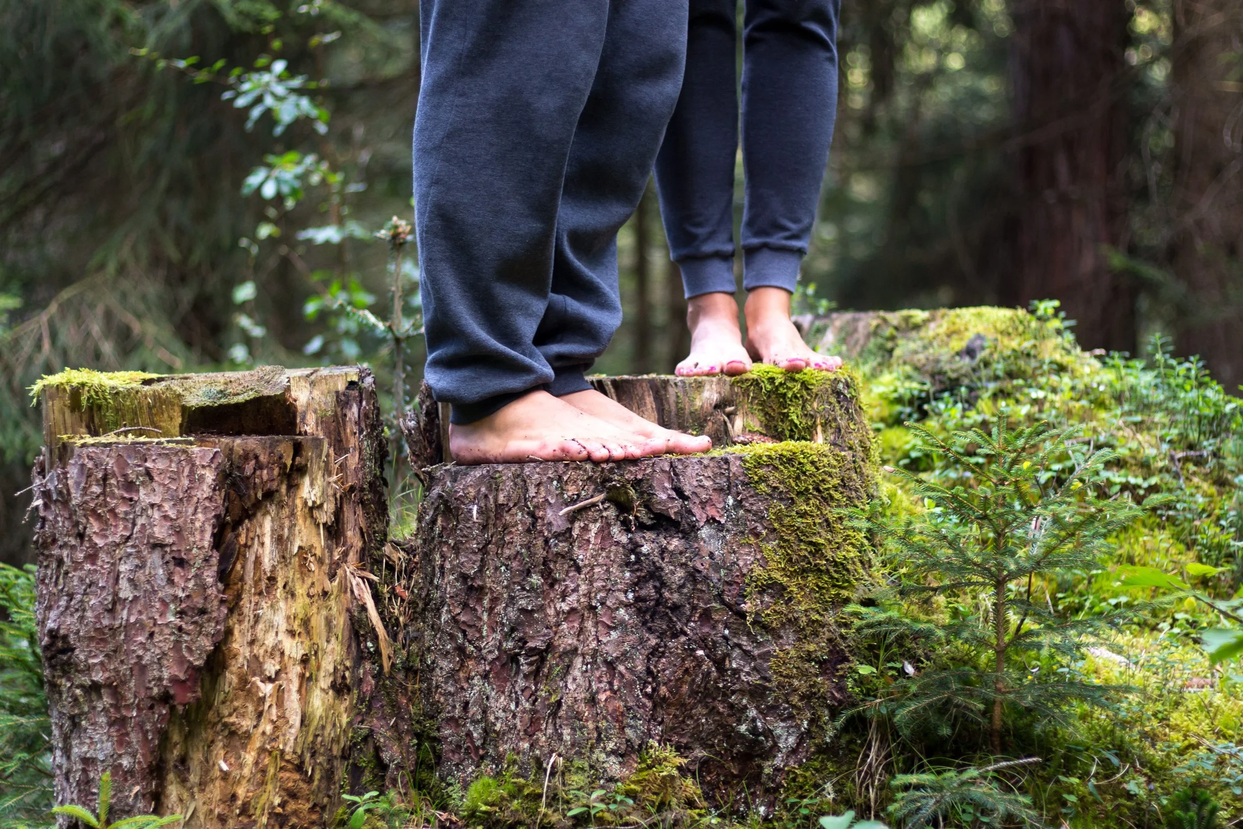 Yoga, Qi Gong und Waldbaden in Flims, mit Kimi Fiebig und Sandra Schmidt