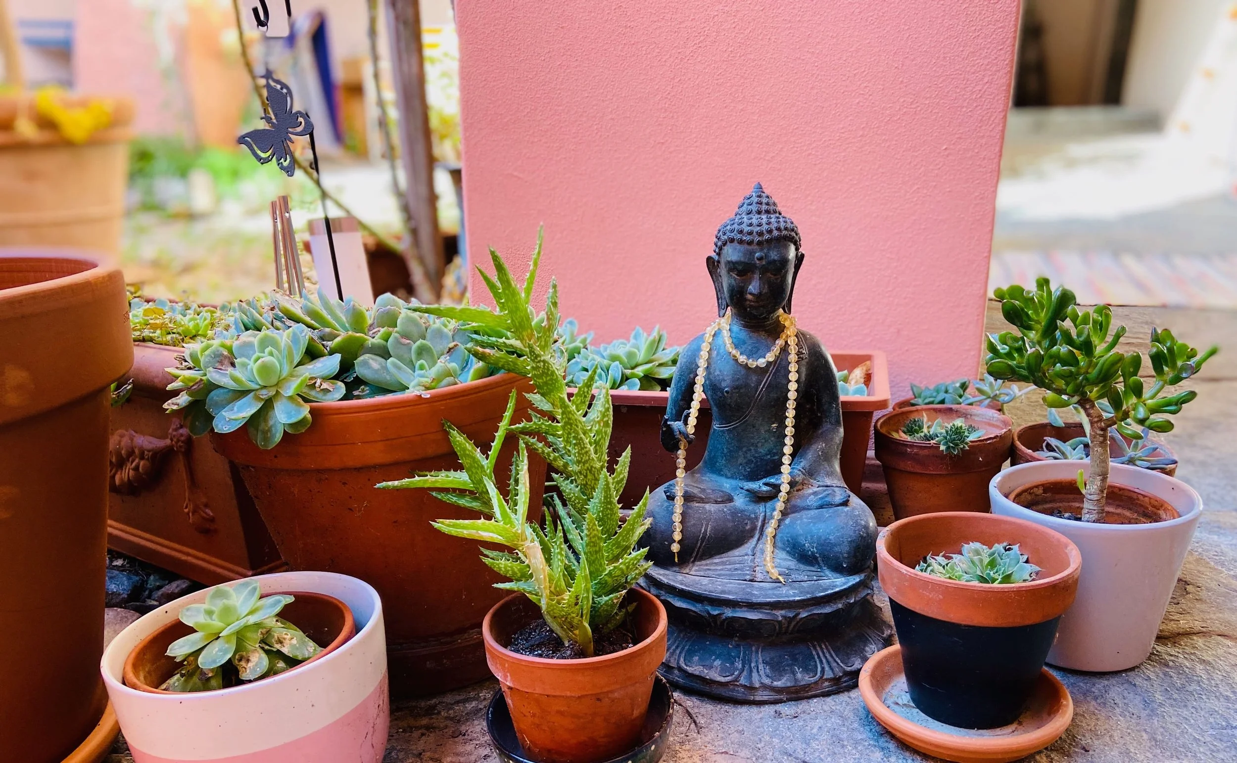 Herbst Yoga-Retreat im Tessin, mit Michela Montalbetti - AUSGEBUCHT