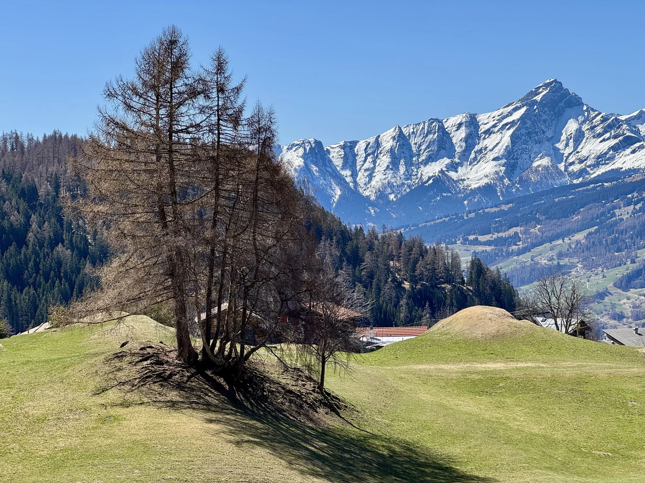 Yogatogo_Sterna_Panorama_04.jpeg