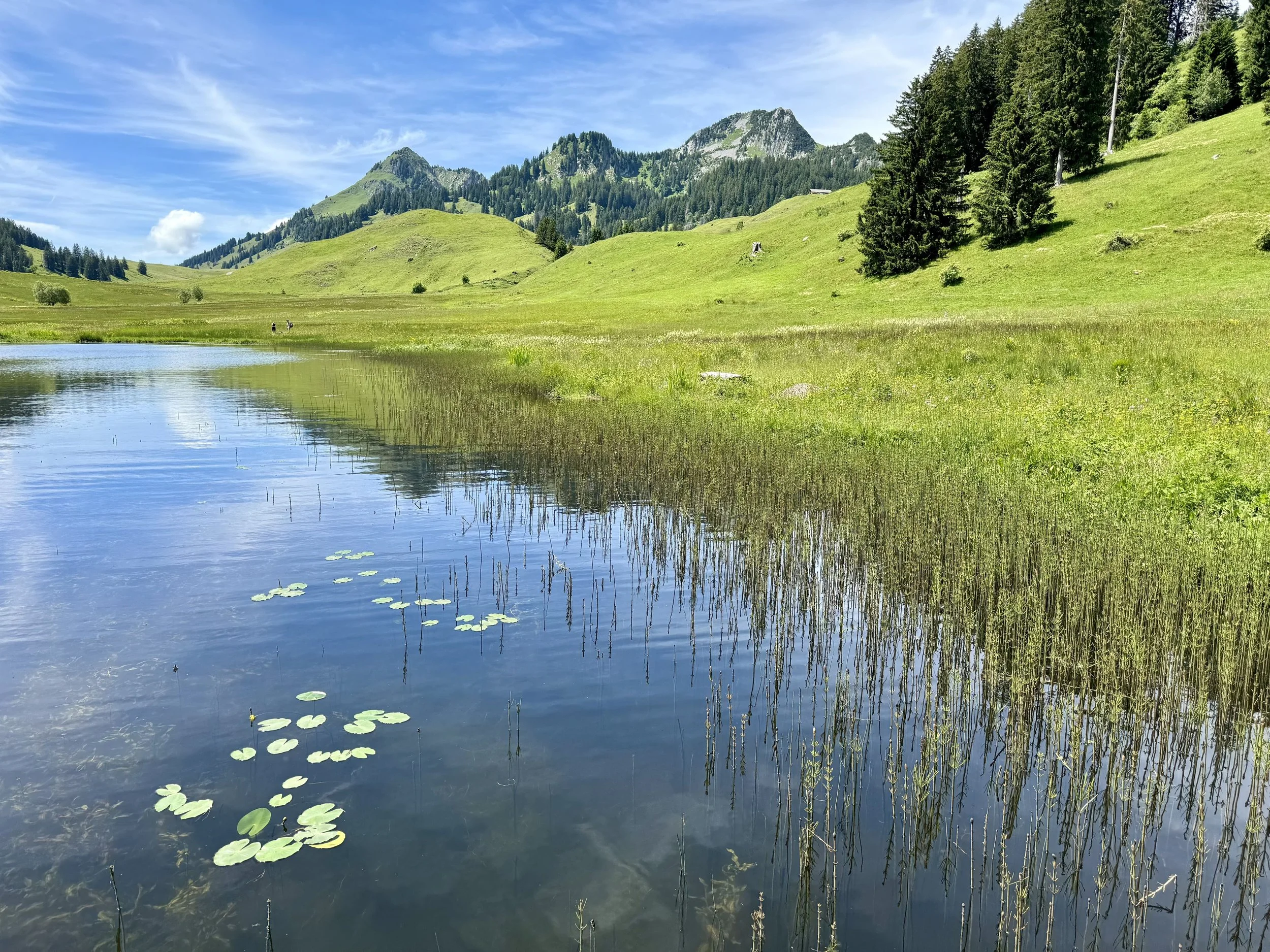 Yogatogo_Gräppelensee_04.jpeg