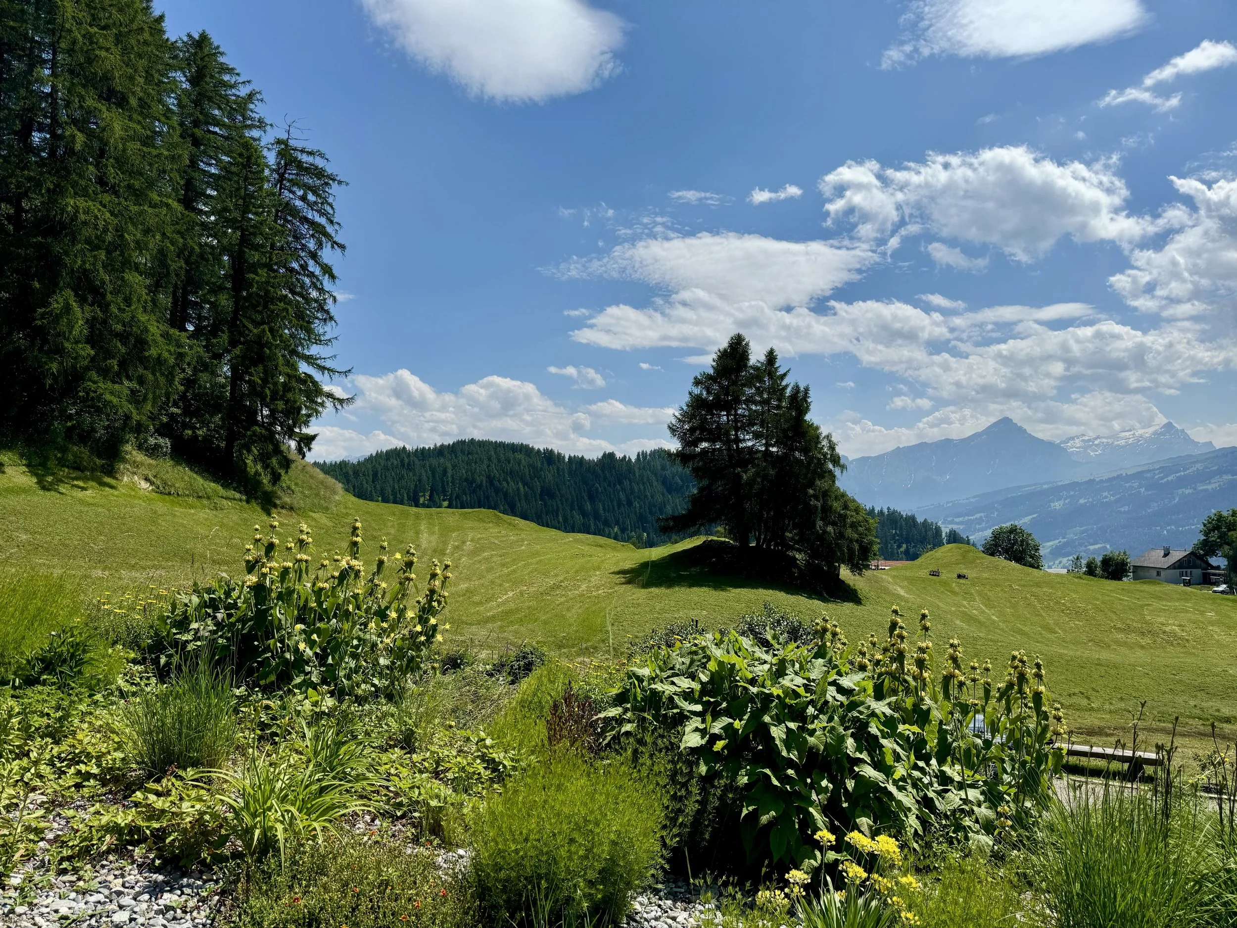 Yogatogo_Sterna_Panorama_01.jpeg