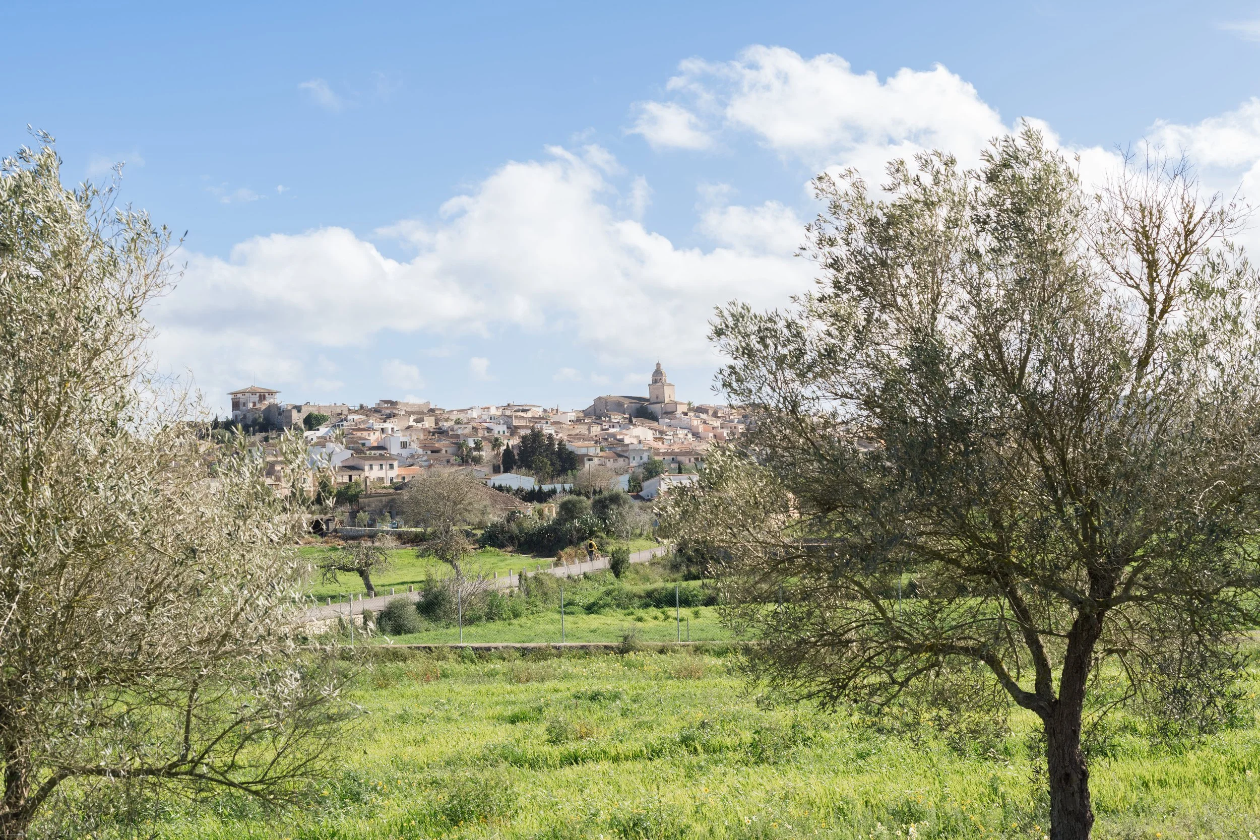 Son_Manera_Finca-17.jpg