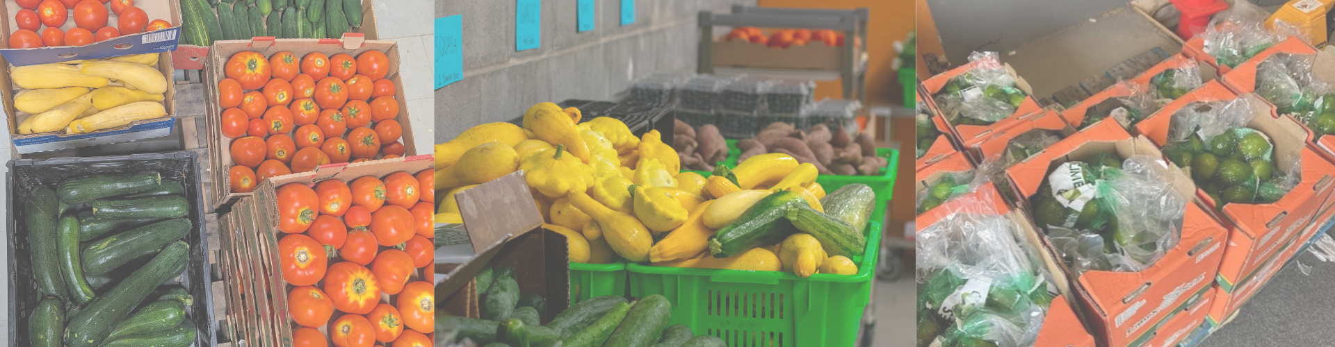 SVFR Website Header Bars (1).png