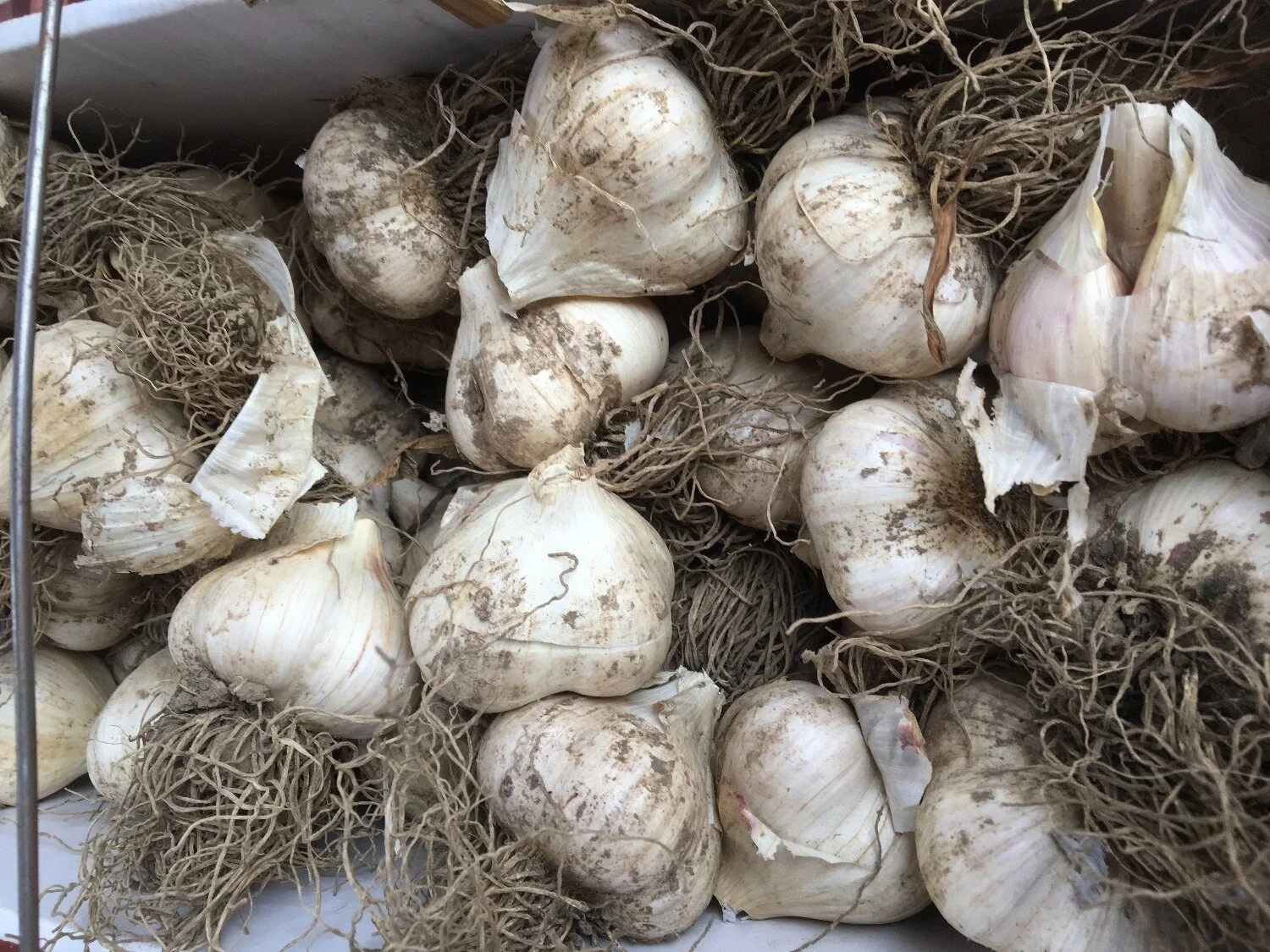 farmerfridays Plunkett Farms — Seven Valleys Health Coalition