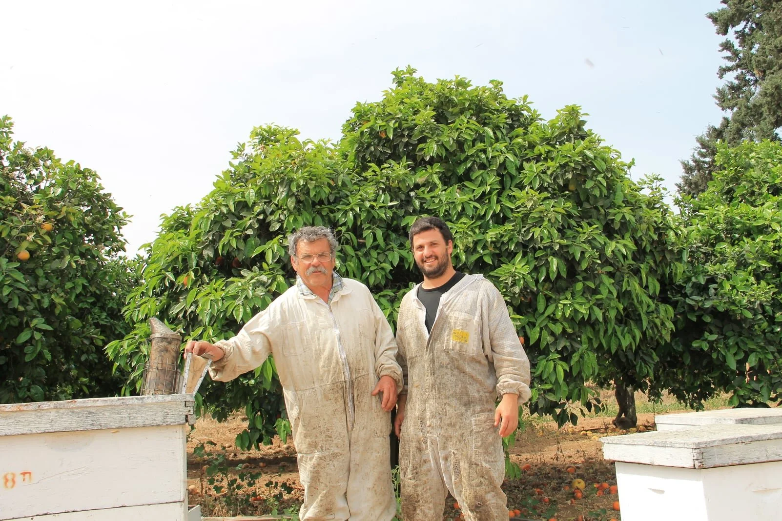 Israel - The Land of Milk and Honey