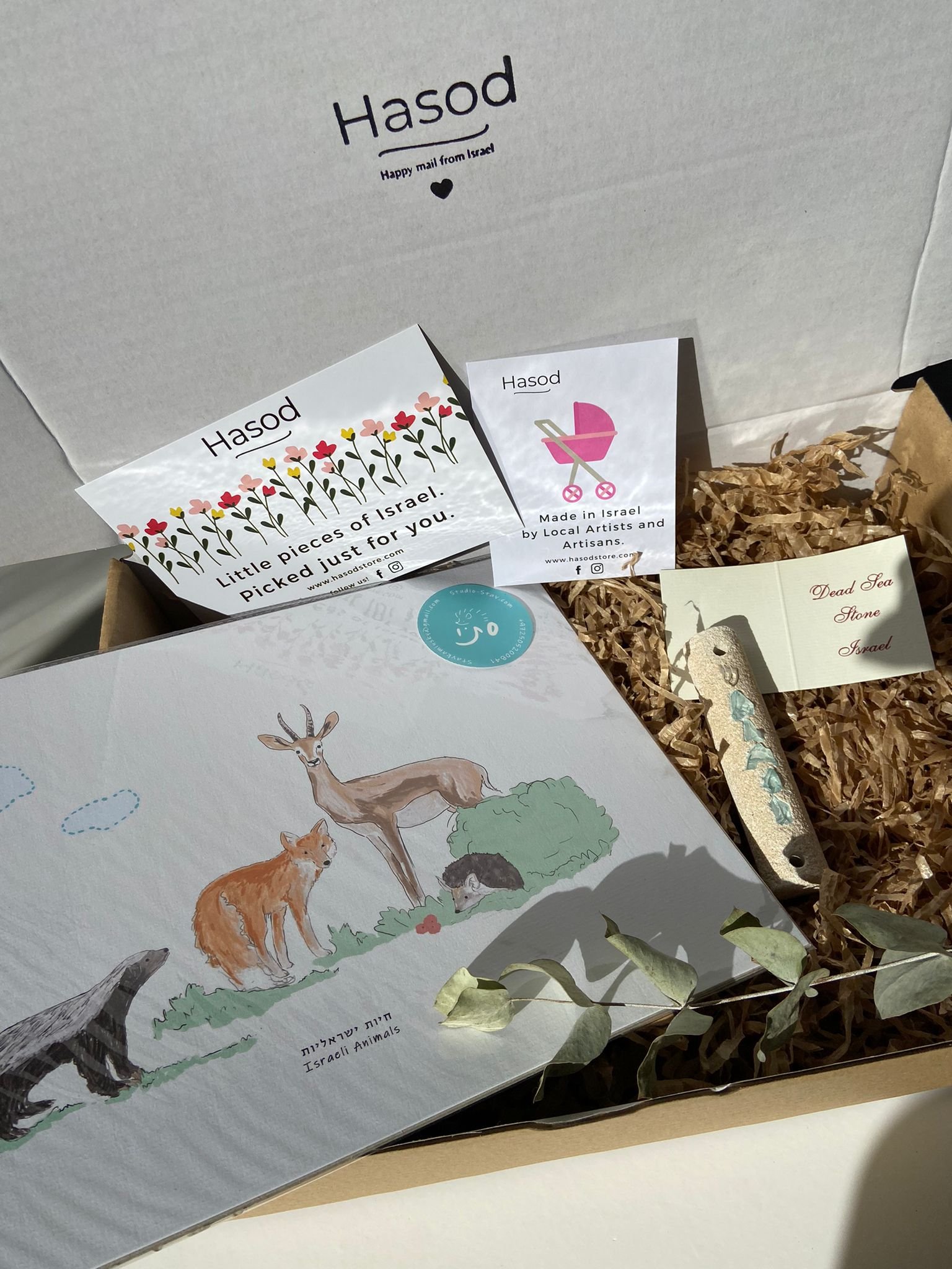 Newborn Boy Gift Box from Israel
