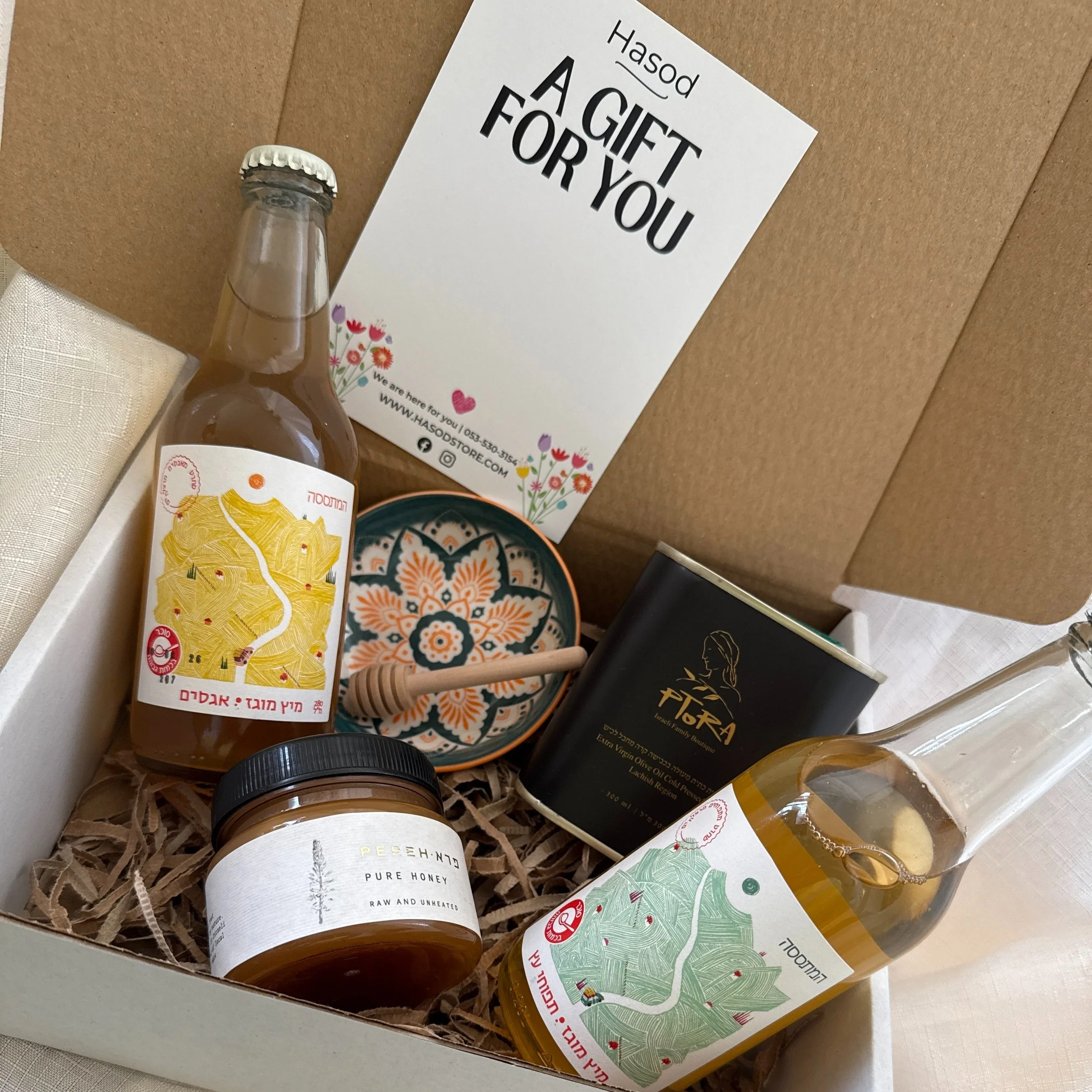 Aviv Box to Israel